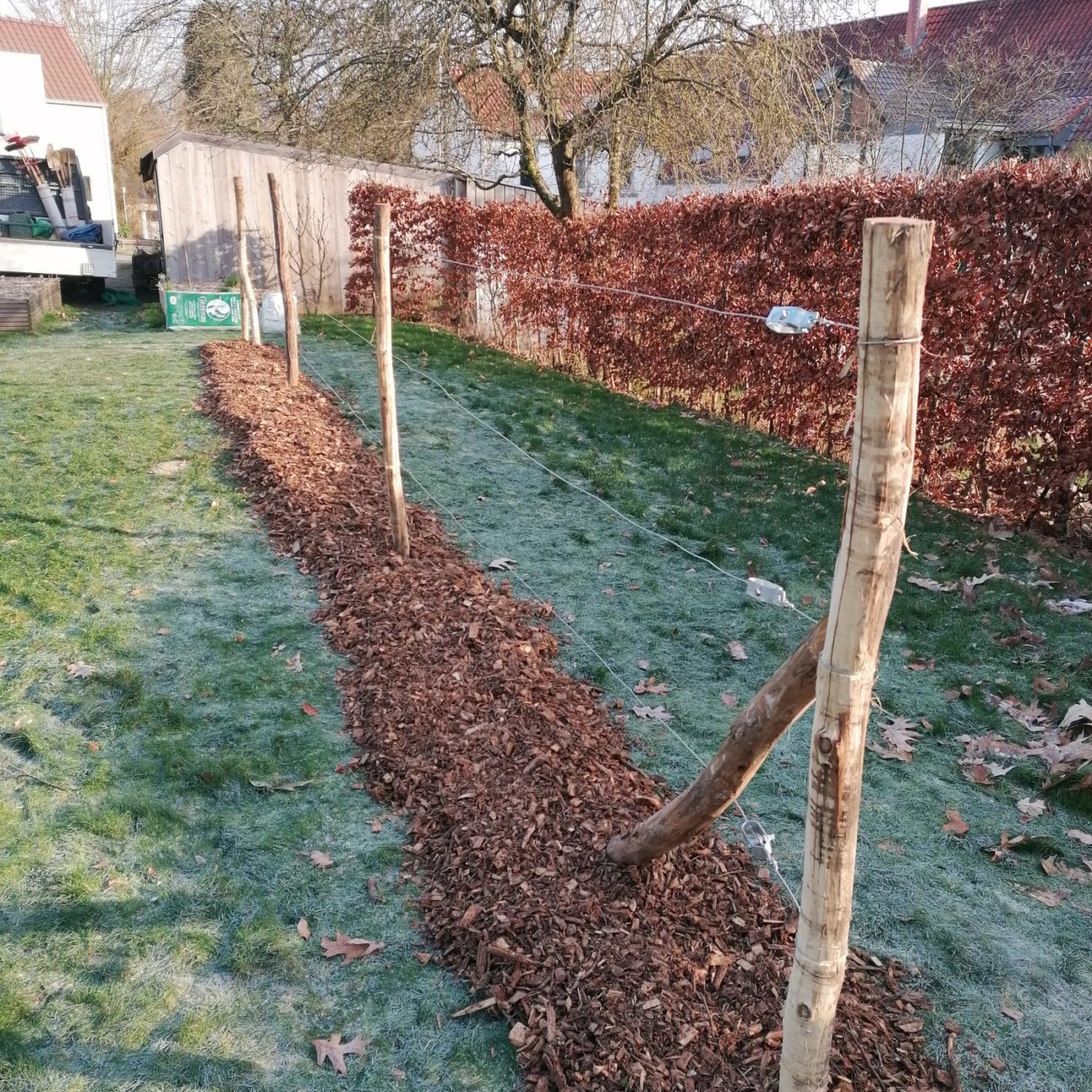 WhatsApp Image 2024-02-06 at 14.03.33 (1)