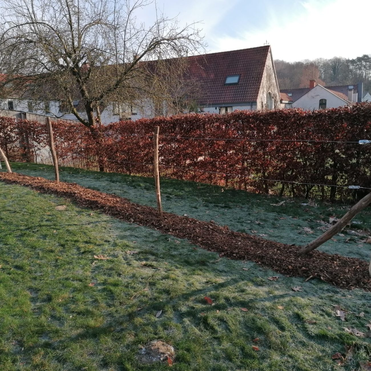 WhatsApp Image 2024-02-06 at 14.03.33