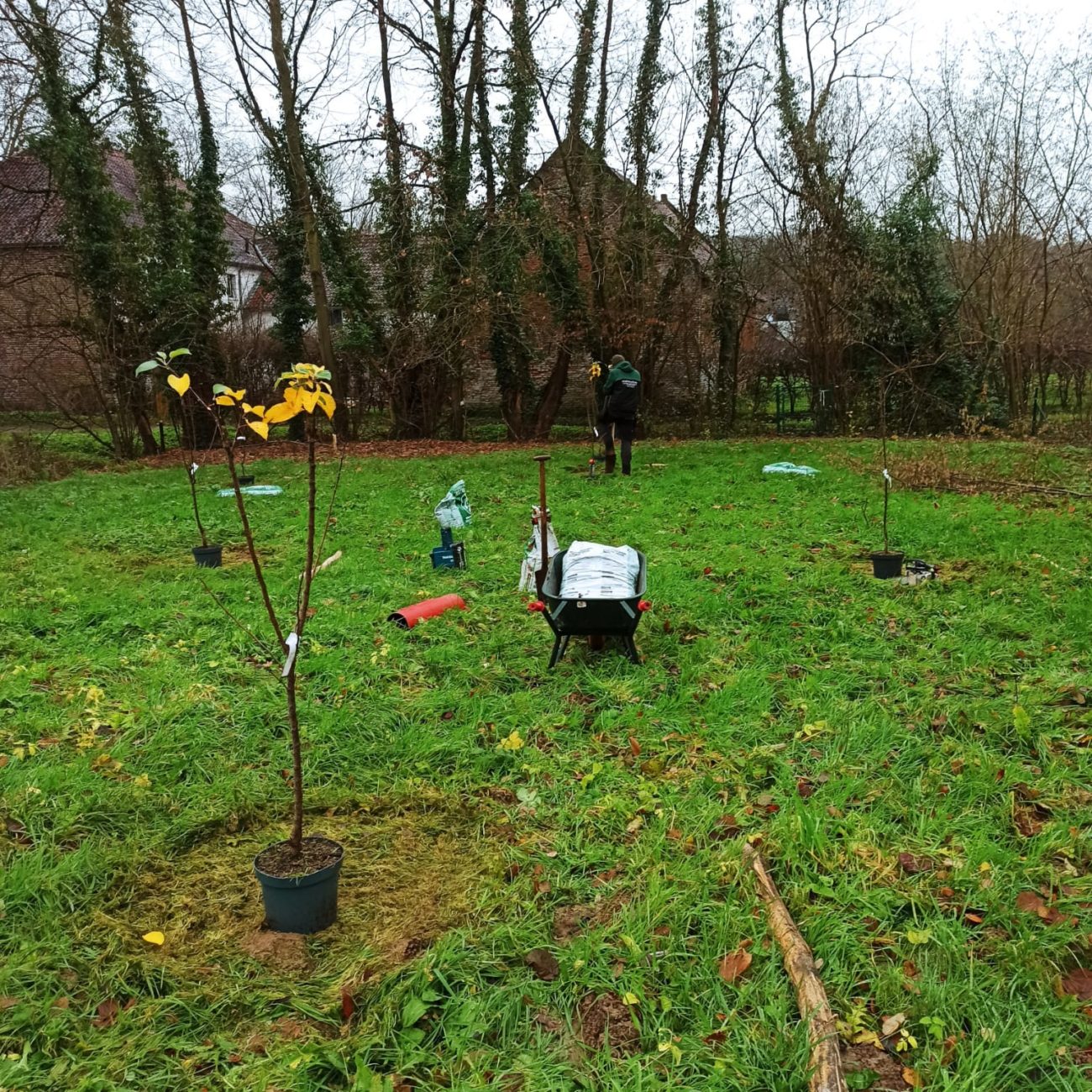 WhatsApp Image 2024-02-06 at 14.07.56 (1)