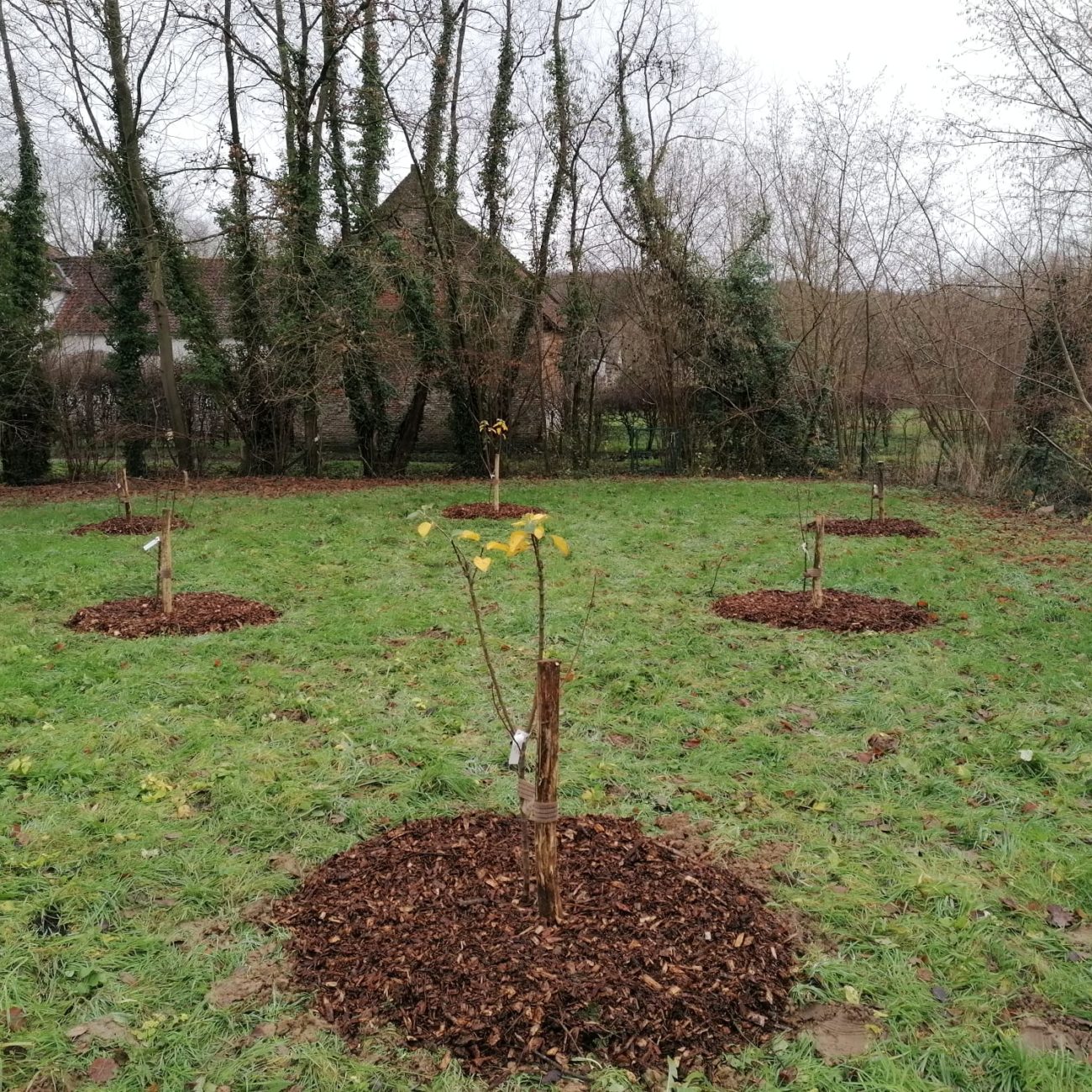 WhatsApp Image 2024-02-06 at 14.07.57 (1)