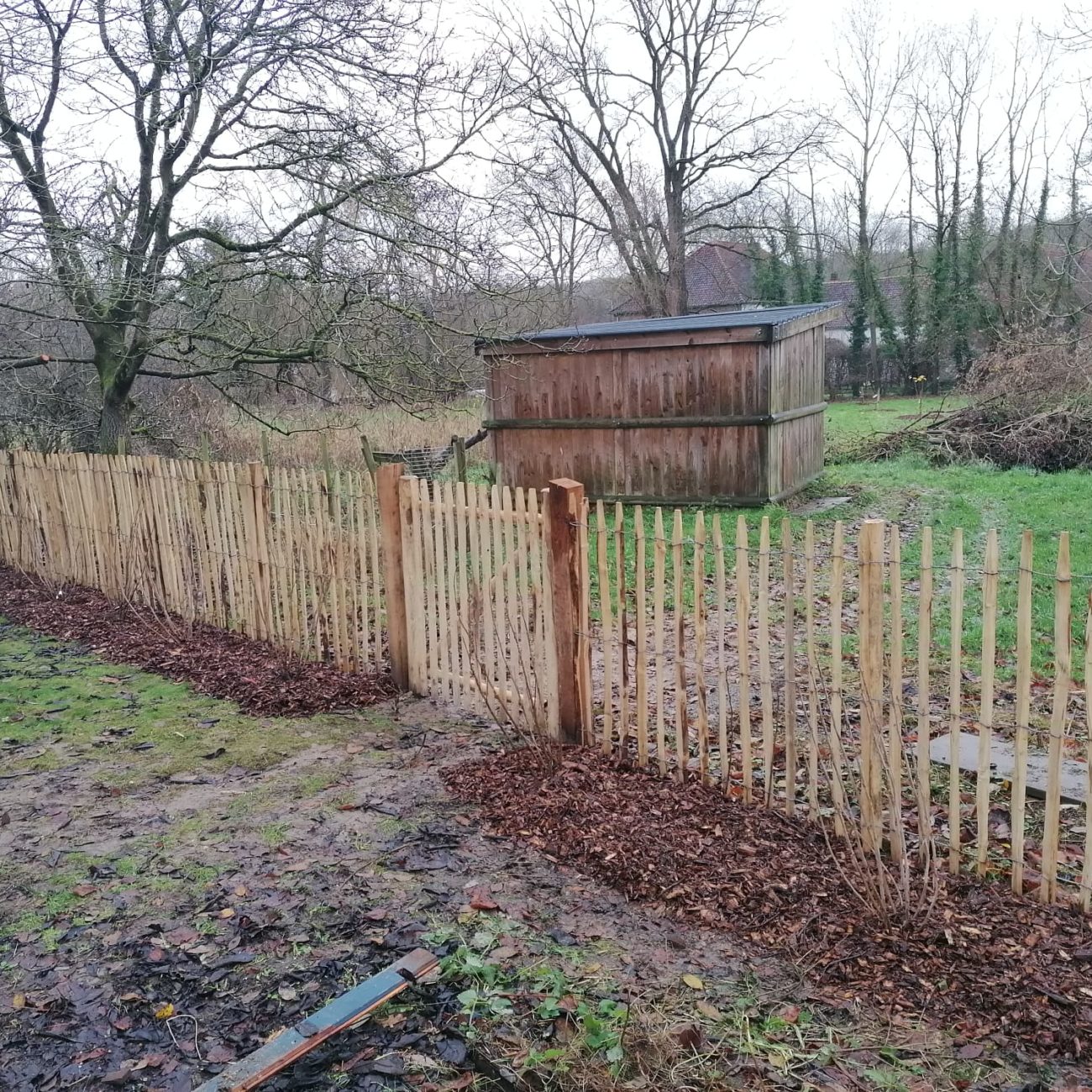 WhatsApp Image 2024-02-06 at 14.09.50