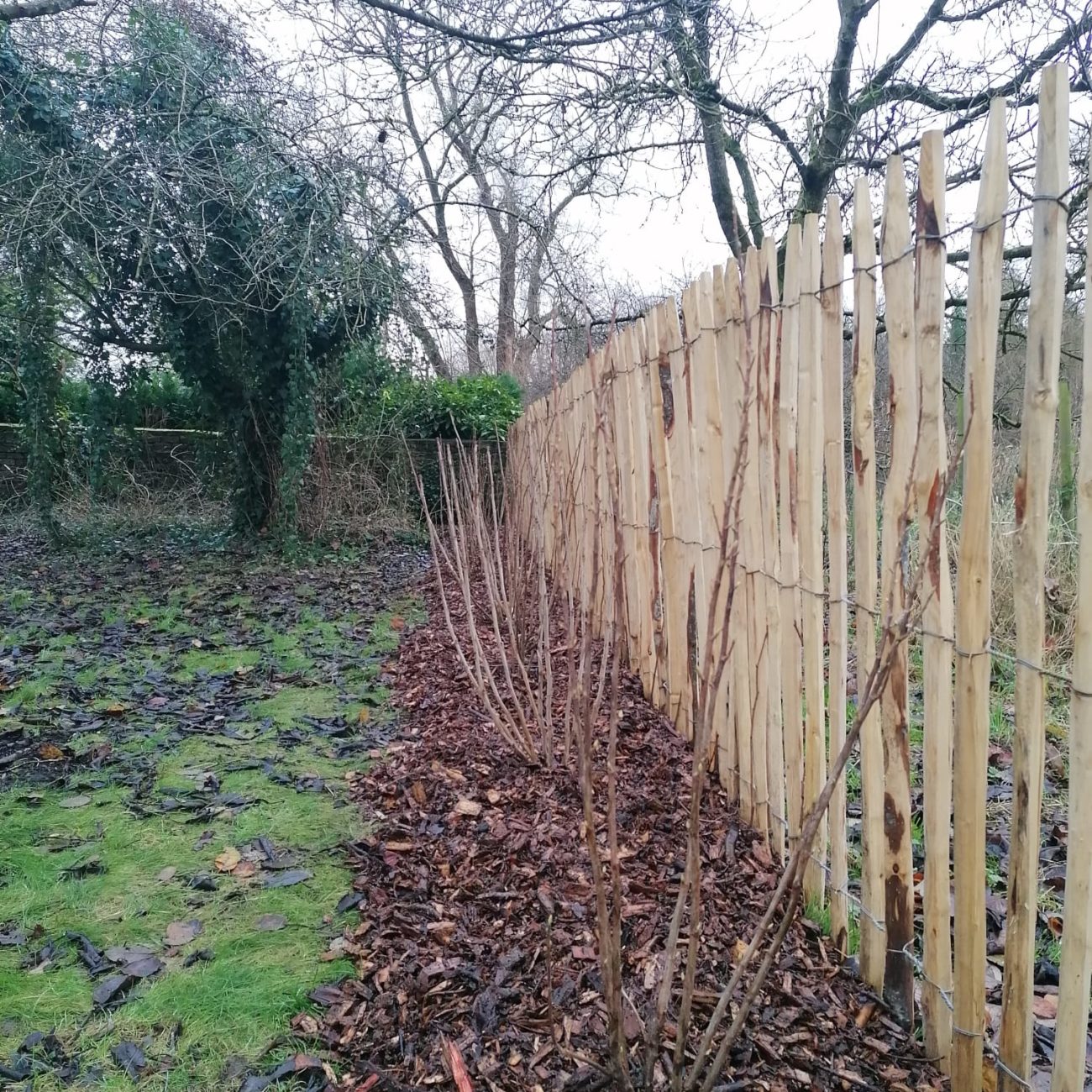 WhatsApp Image 2024-02-06 at 14.09.51