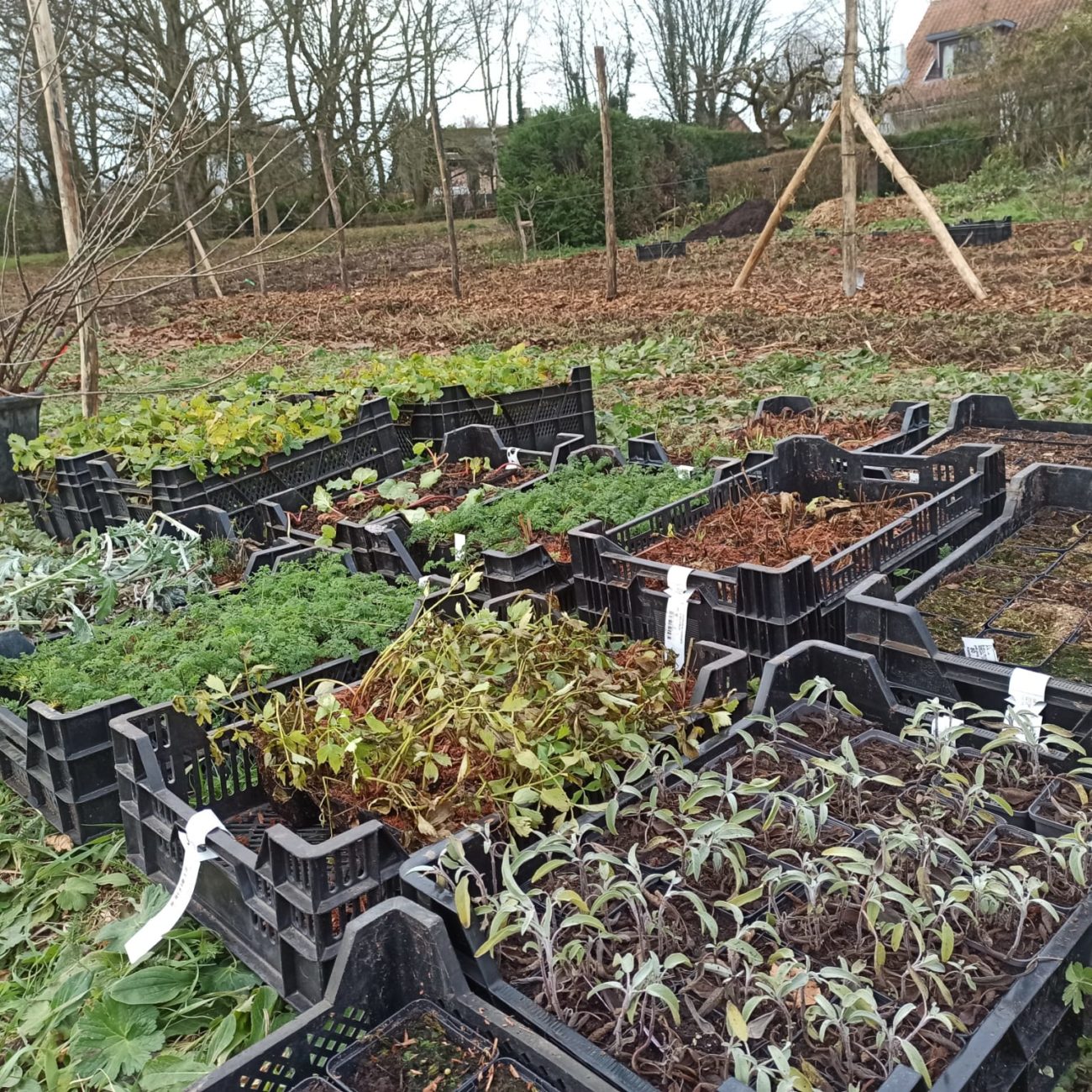 WhatsApp Image 2024-02-06 at 14.12.11