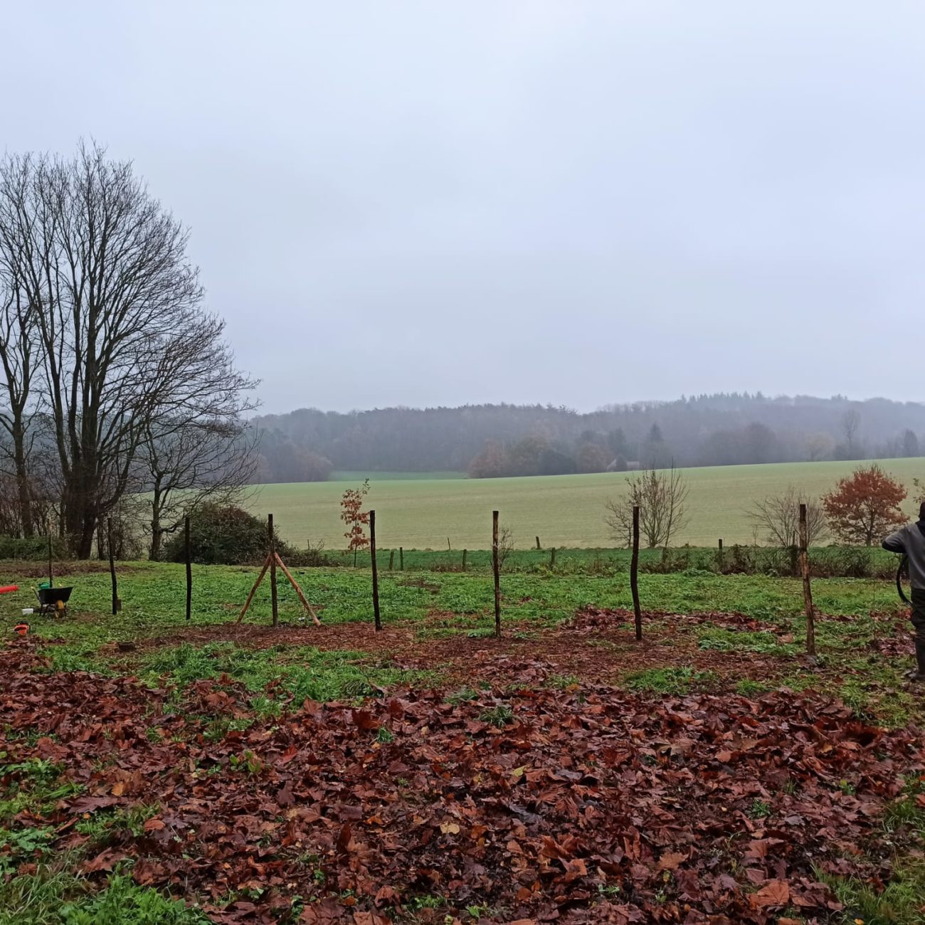 WhatsApp Image 2024-02-06 at 14.13.20