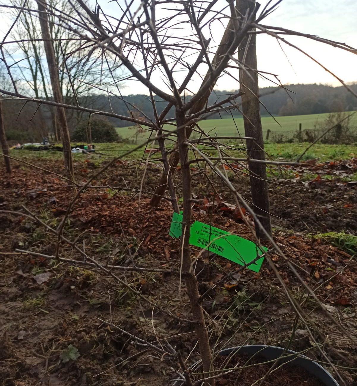 WhatsApp Image 2024-02-06 at 14.13.24 (2)