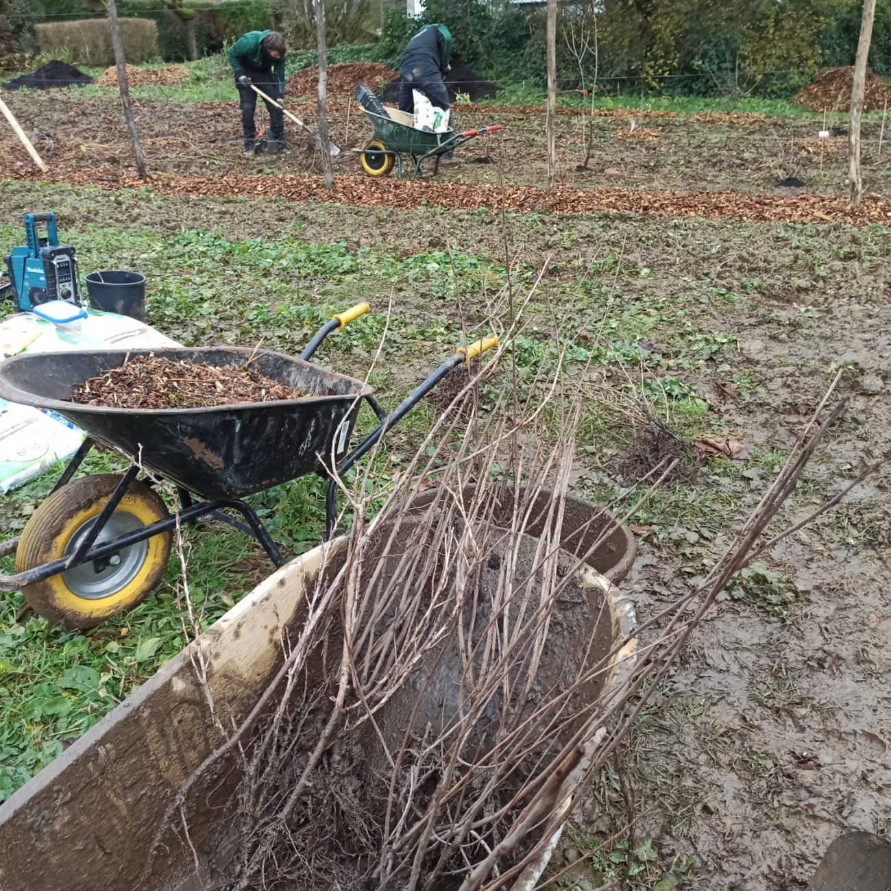 WhatsApp Image 2024-02-06 at 14.13.25