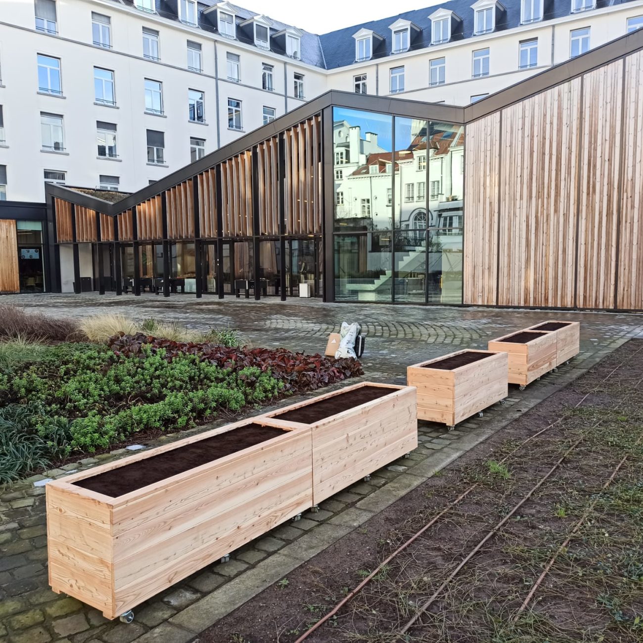 WhatsApp Image 2024-02-12 at 10.17.36 (3)