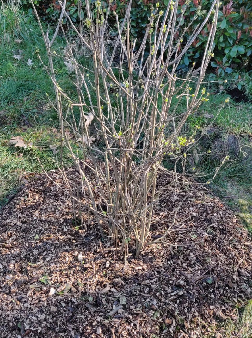 WhatsApp Image 2024-03-05 at 12.18.59 (2)