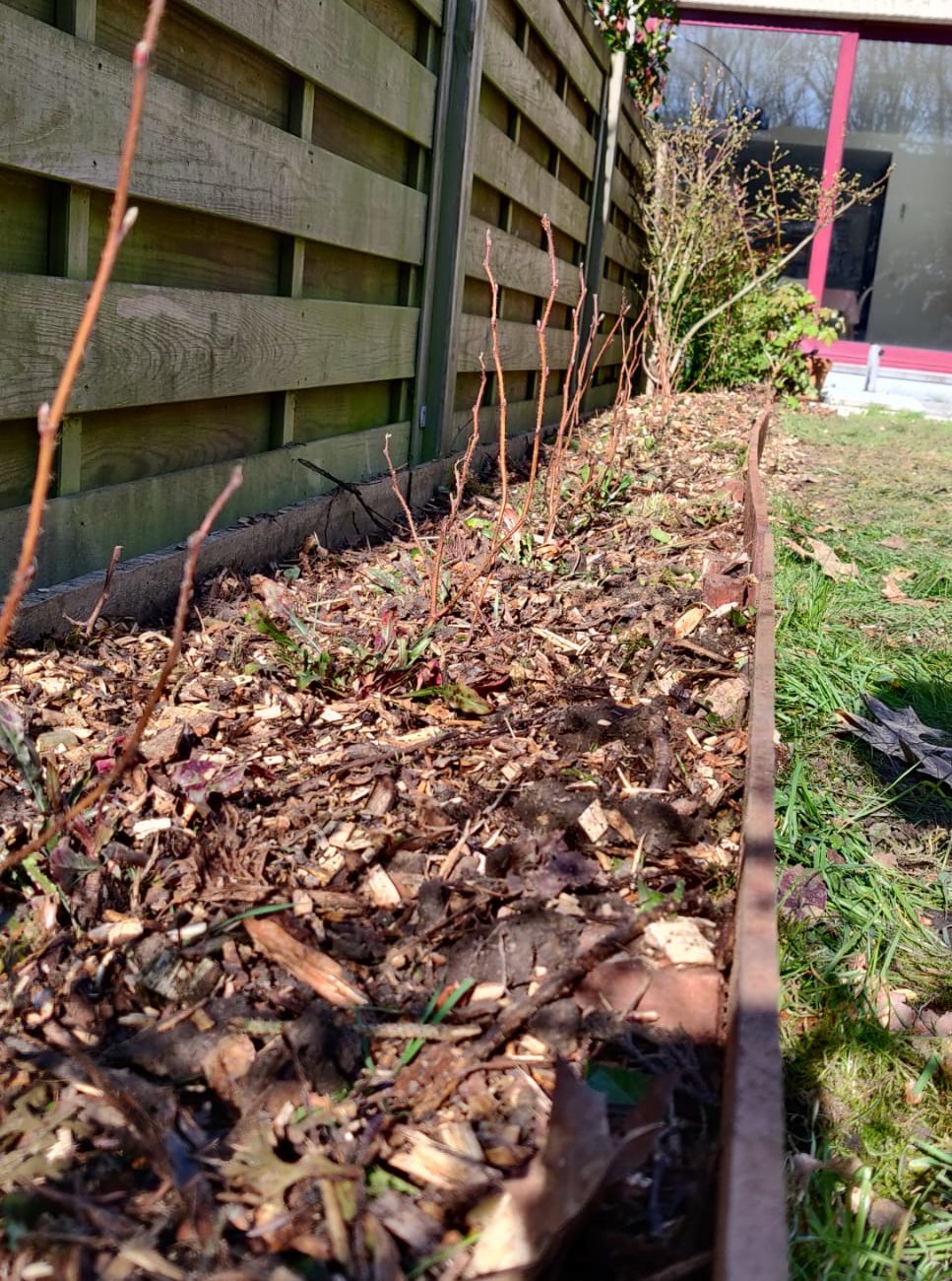 WhatsApp Image 2024-03-05 at 12.18.59 (6)