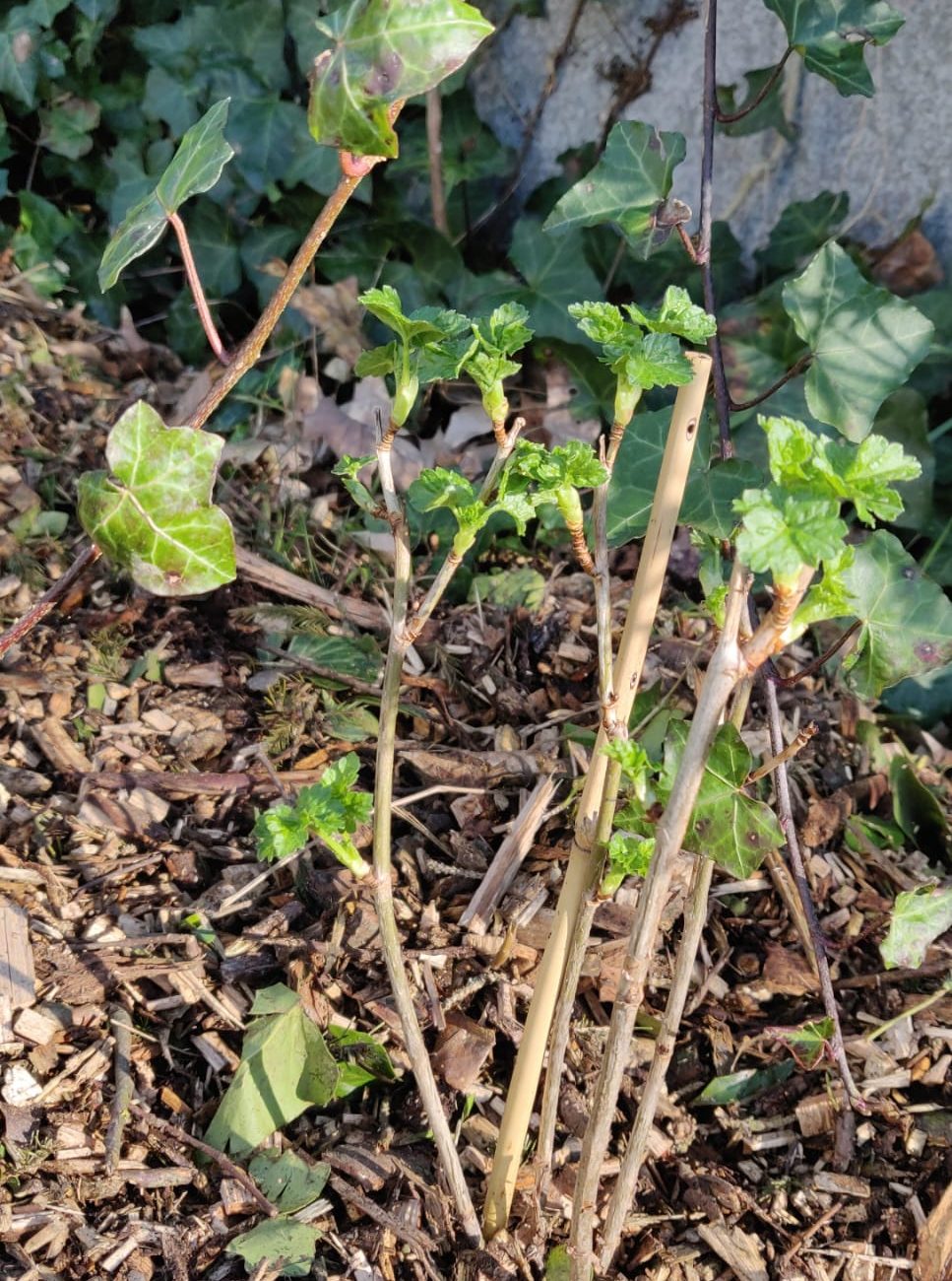 WhatsApp Image 2024-03-05 at 12.19.00 (3)