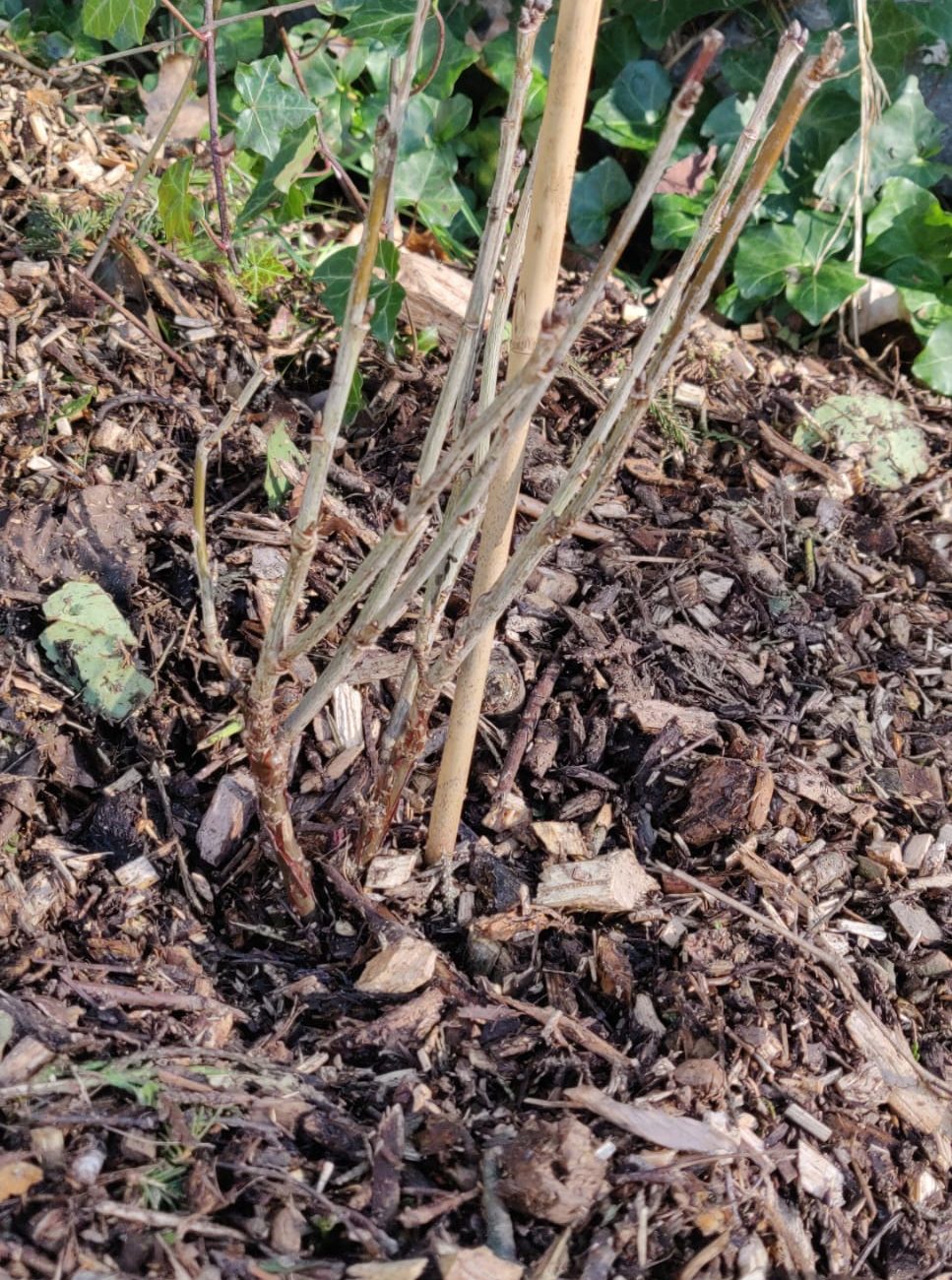 WhatsApp Image 2024-03-05 at 12.19.00 (4)