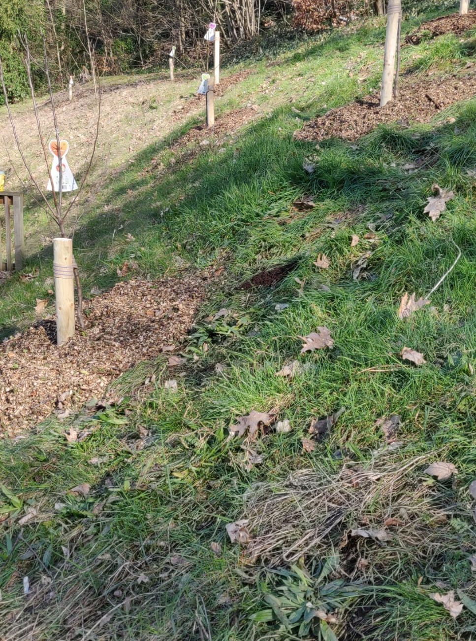 WhatsApp Image 2024-03-05 at 12.19.00 (7)