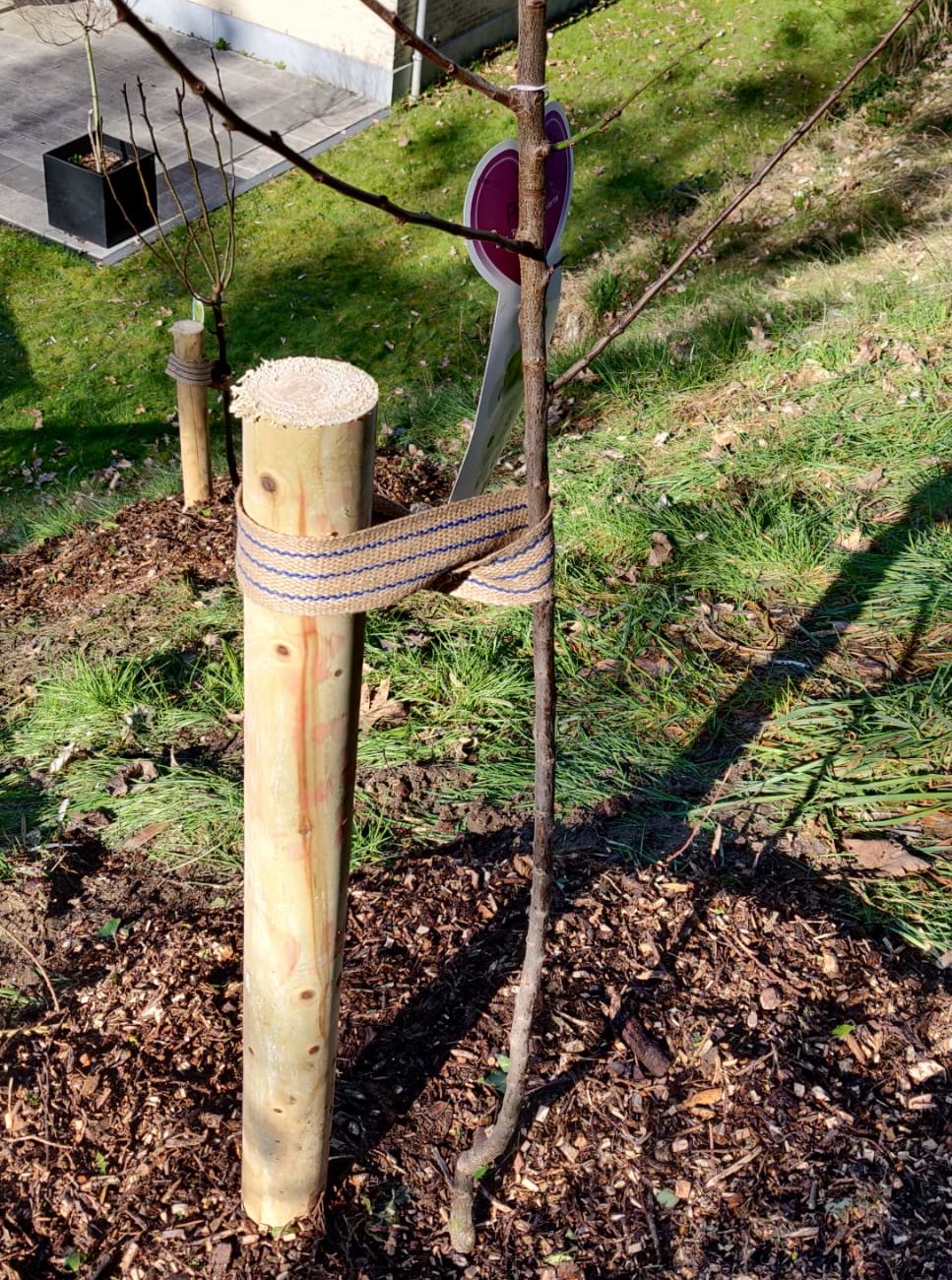 WhatsApp Image 2024-03-05 at 12.19.00