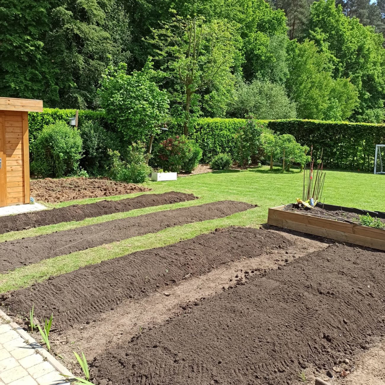 WhatsApp Image 2024-03-05 at 14.18.18 (4)