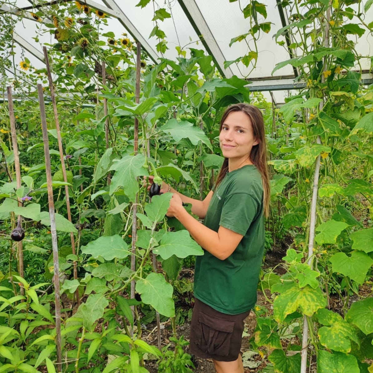 Maraîchage à Urban Farm