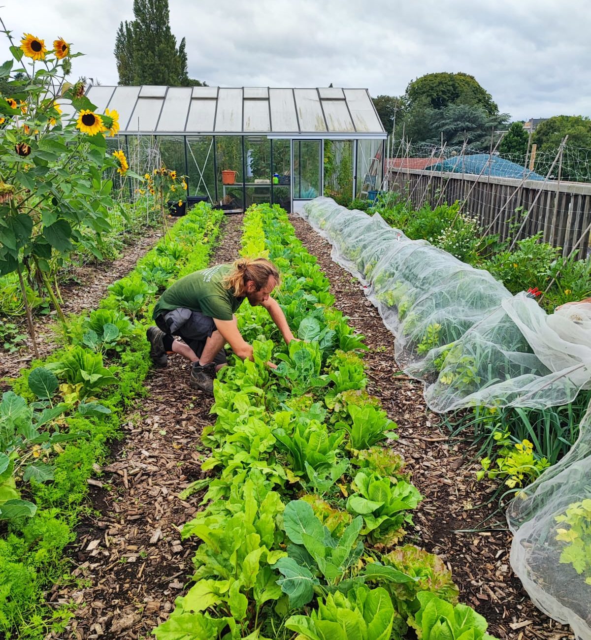 Entretien Urban Farm