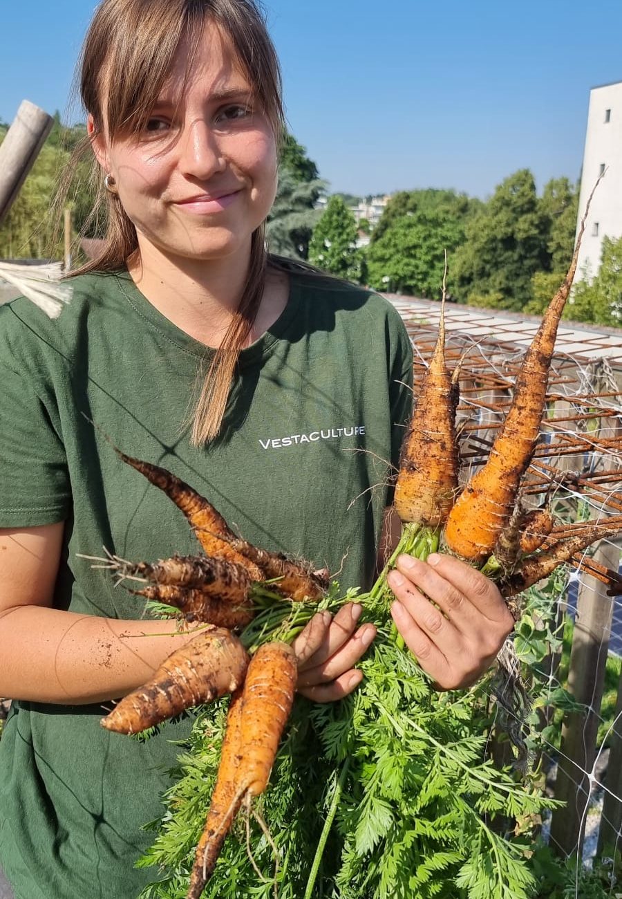 Camille récolte les carottes