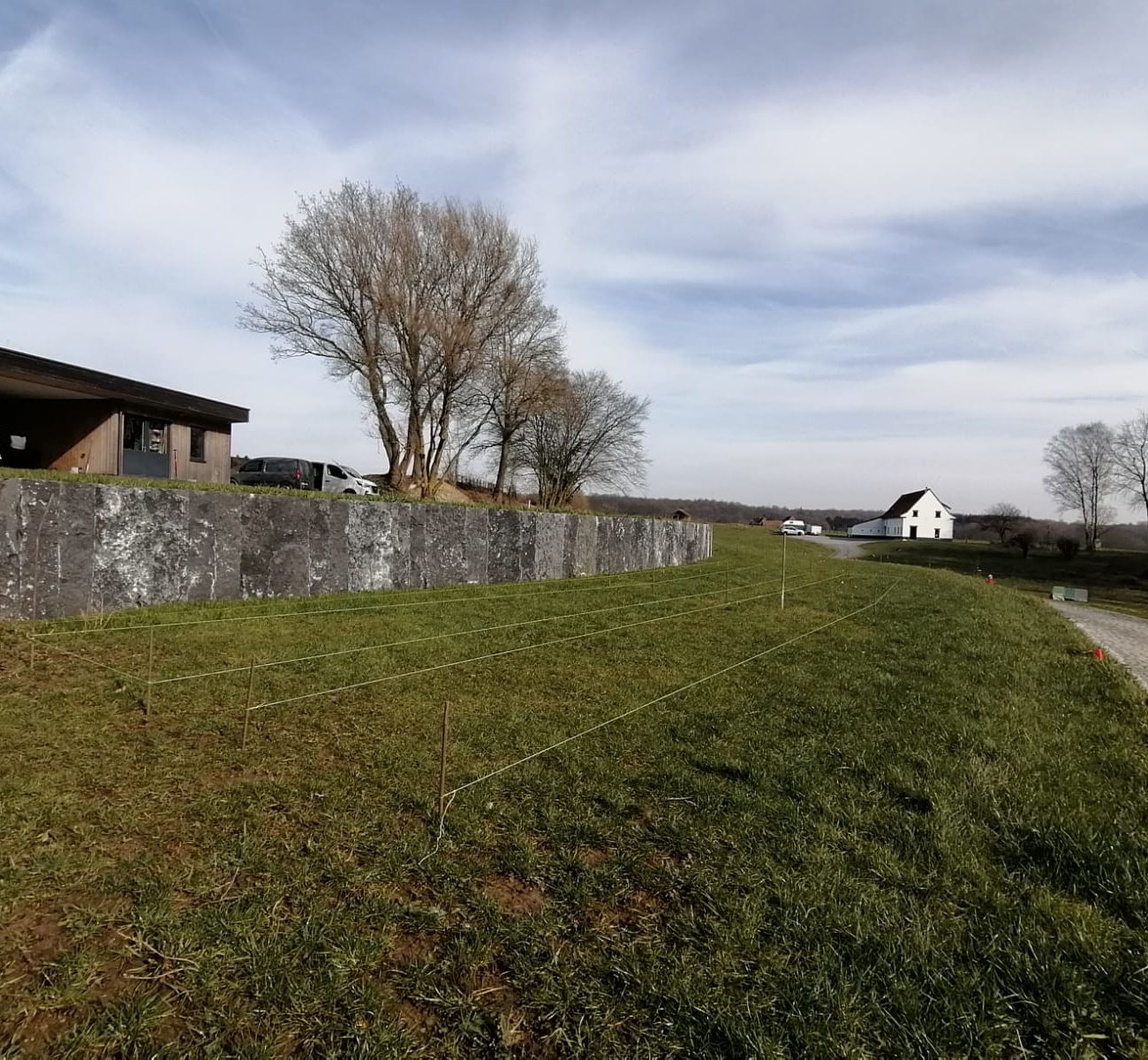 WhatsApp Image 2025-02-19 at 12.57.41 (3)