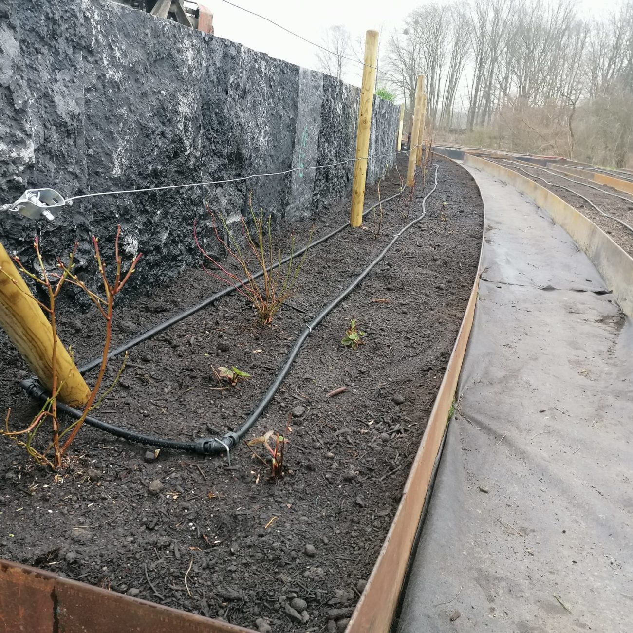 WhatsApp Image 2025-03-12 at 08.51.53 (1)