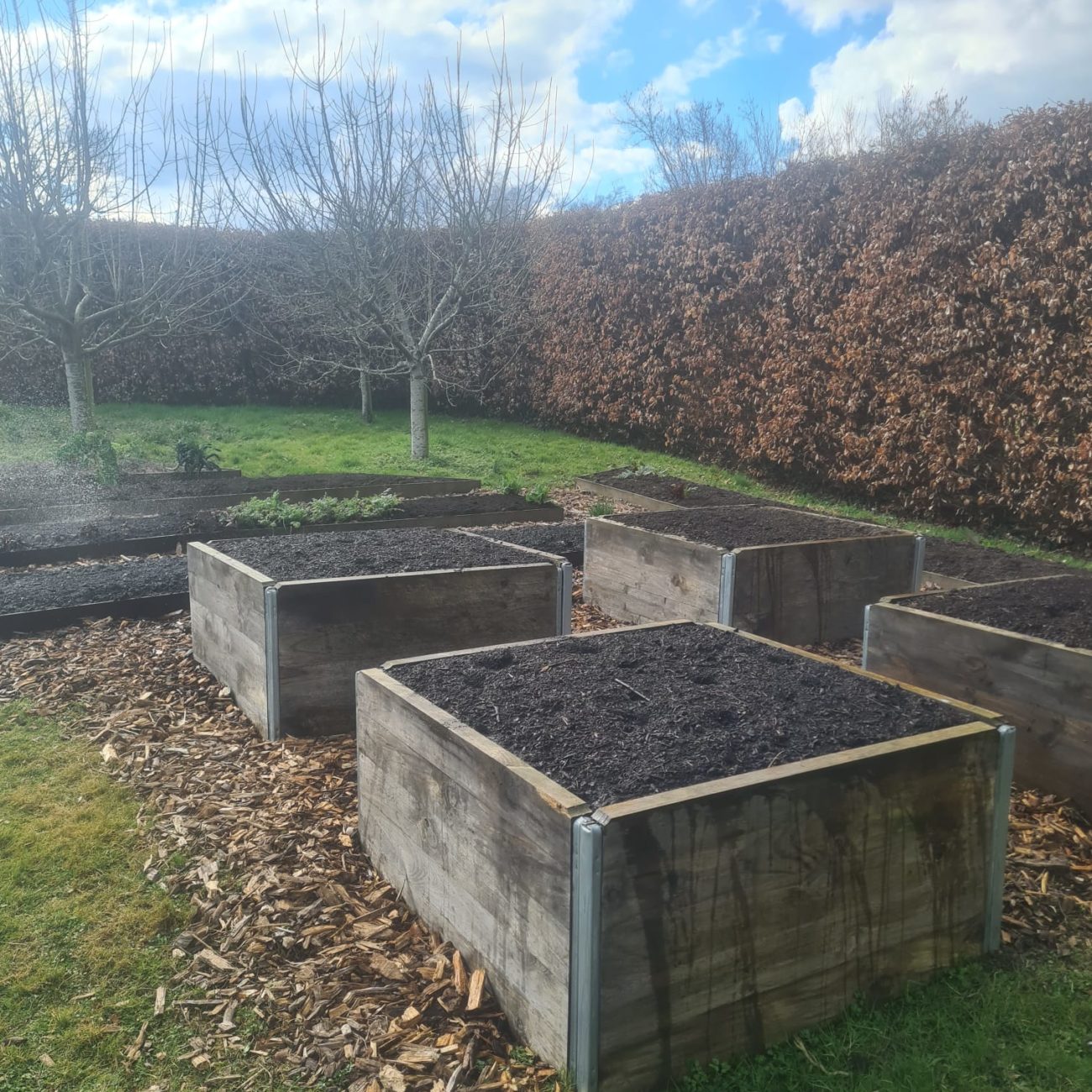 WhatsApp Image 2025-04-08 at 16.09.55 (1)