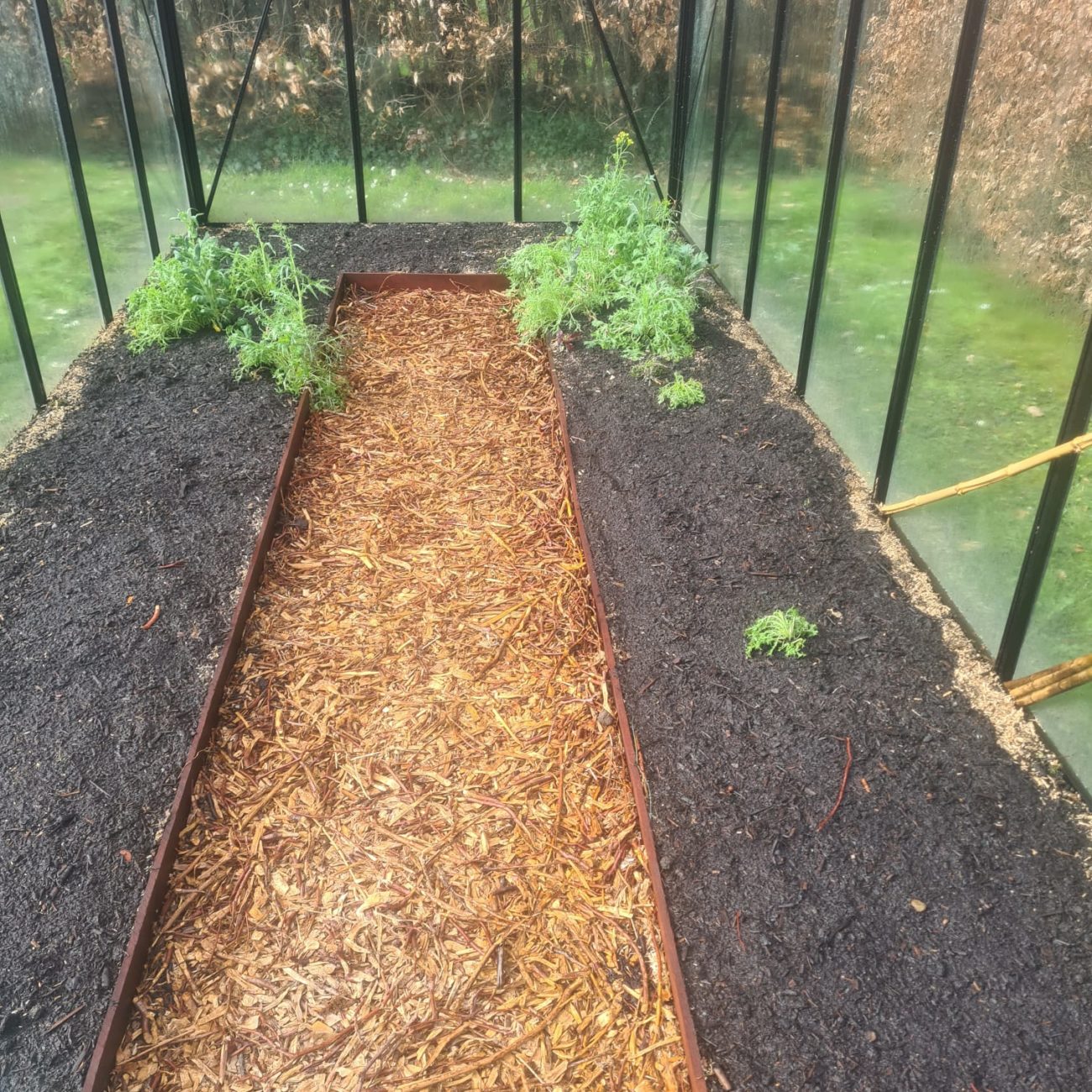 WhatsApp Image 2025-04-08 at 16.09.55 (3)