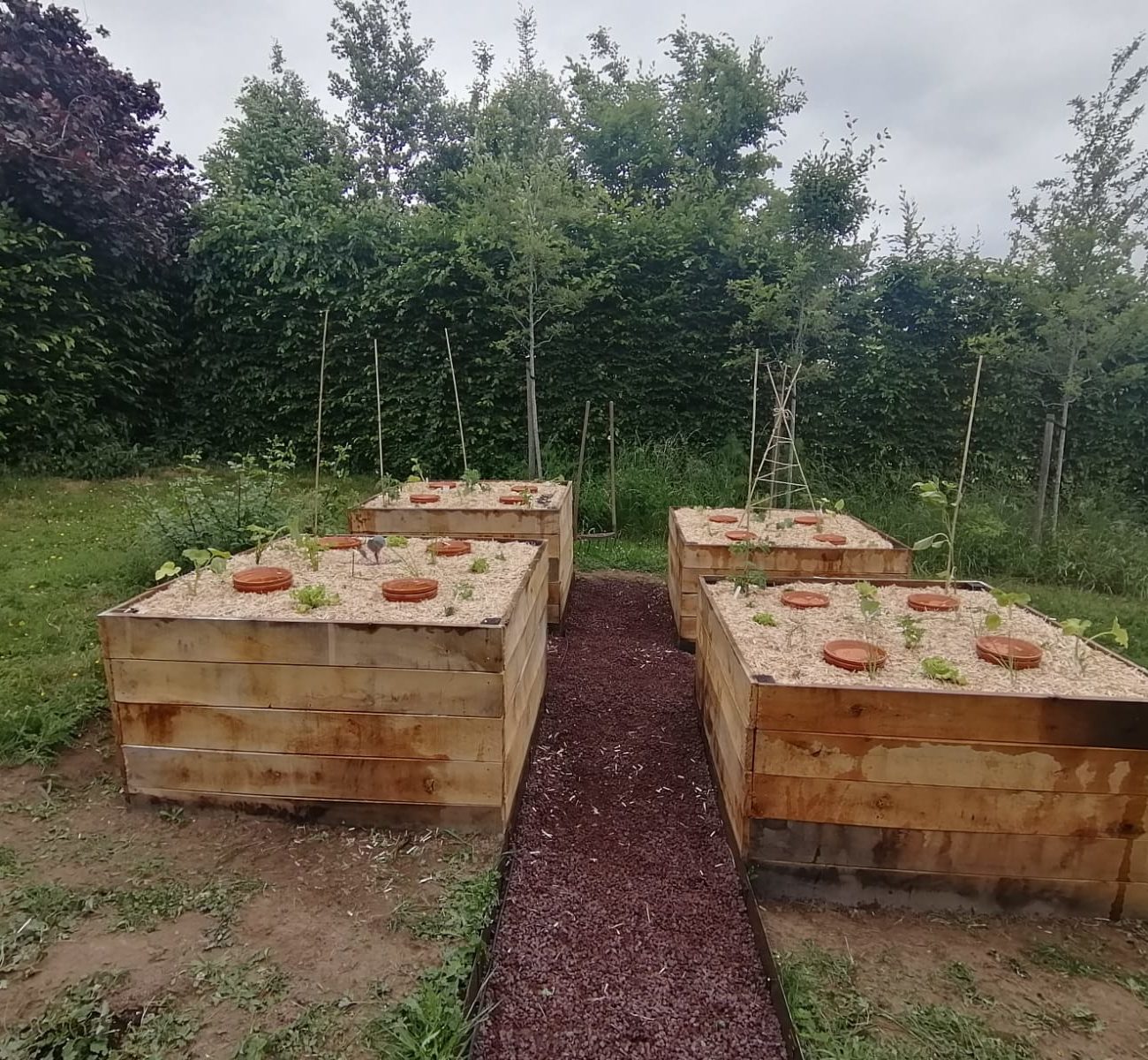 WhatsApp Image 2025-06-02 at 11.44.25