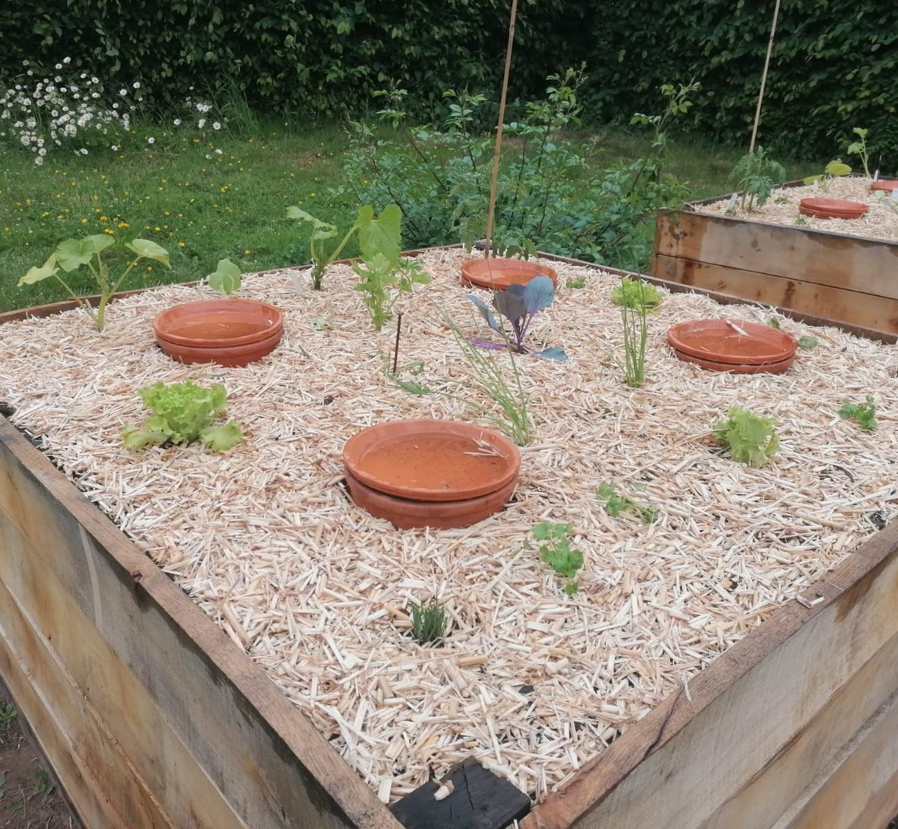 WhatsApp Image 2025-06-02 at 11.44.25 (2)