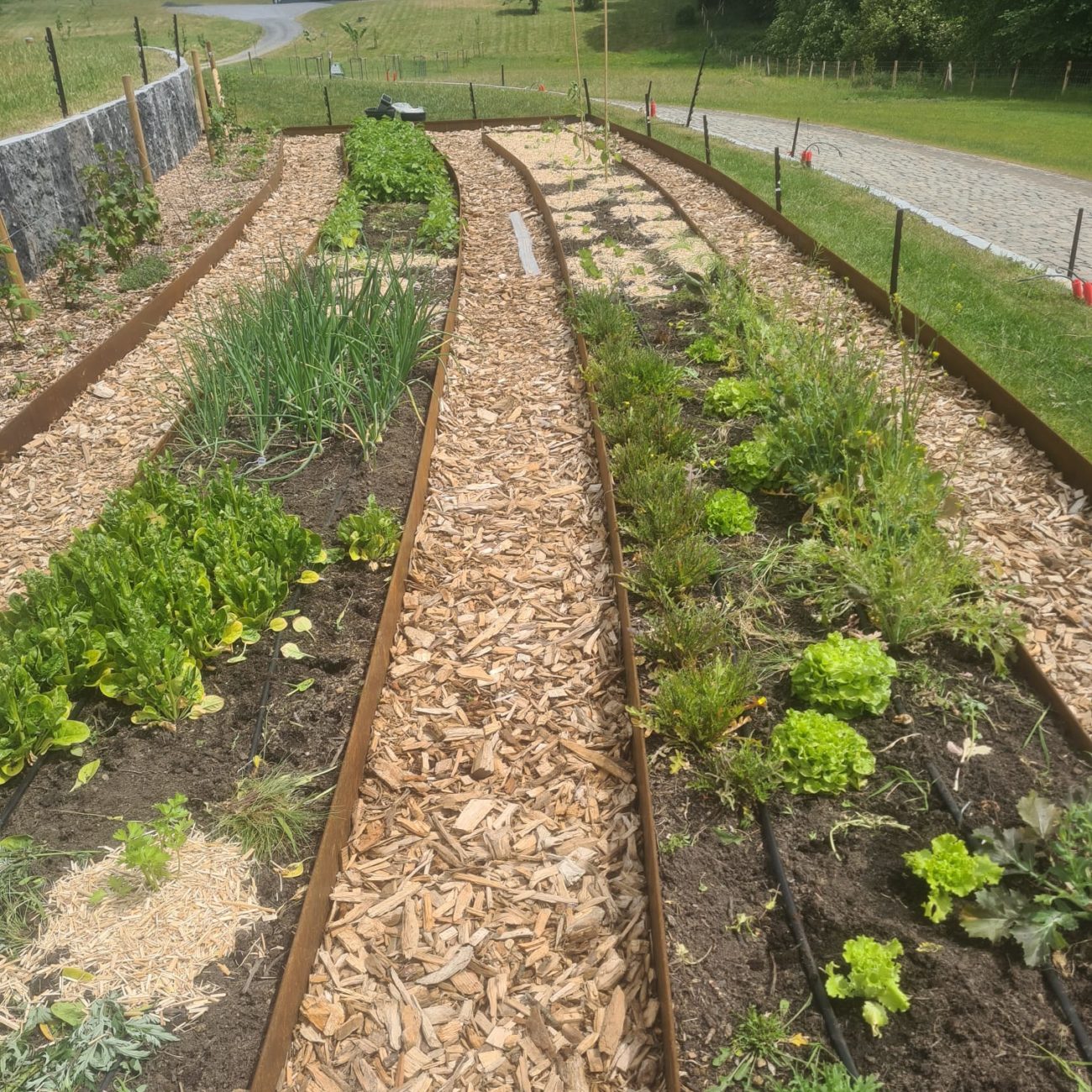 WhatsApp Image 2025-06-11 at 11.10.17 (1)