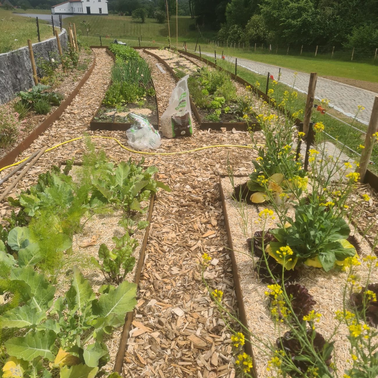 WhatsApp Image 2025-06-11 at 11.10.17