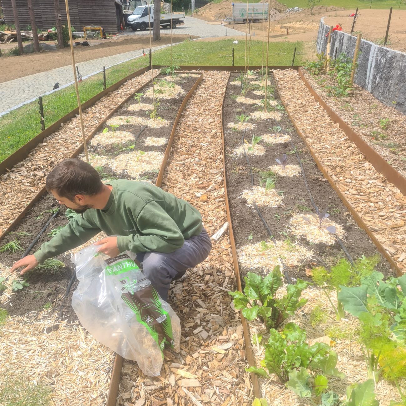 WhatsApp Image 2025-06-11 at 11.10.18