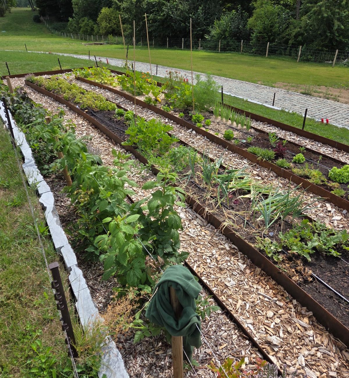 WhatsApp Image 2025-08-13 at 15.42.54 (1)