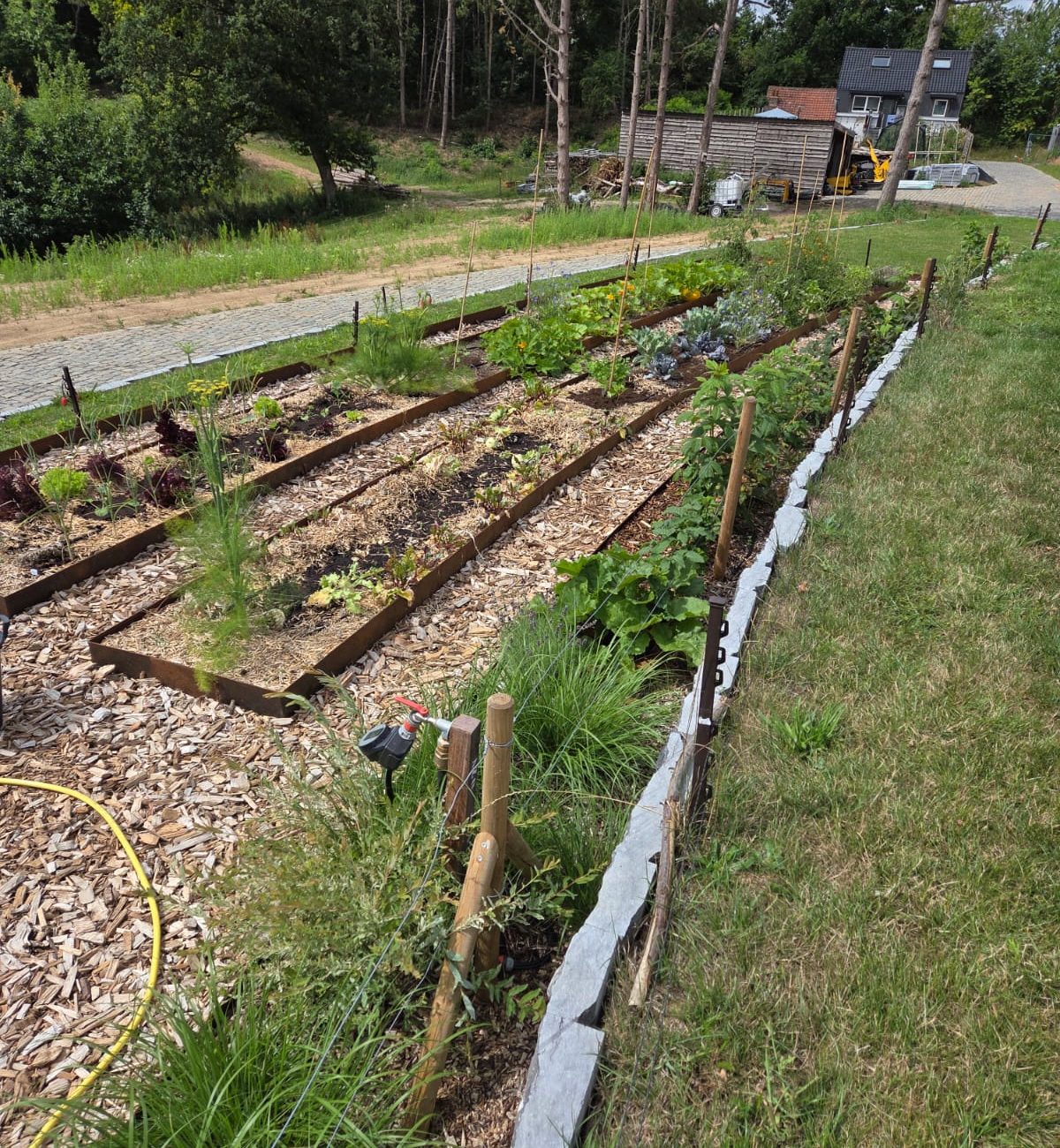 WhatsApp Image 2025-08-13 at 15.42.54