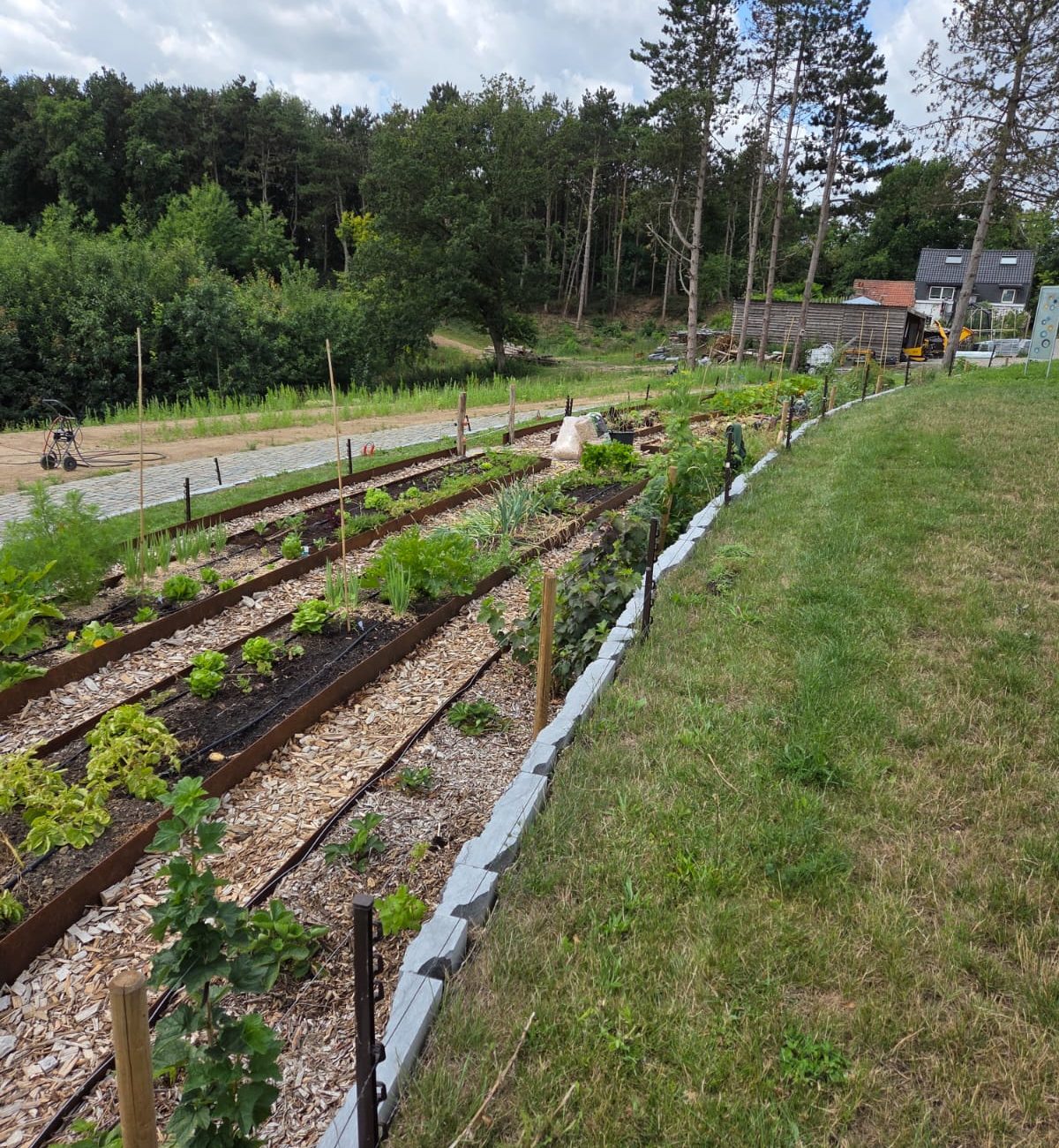 WhatsApp Image 2025-08-13 at 15.42.54 (2)