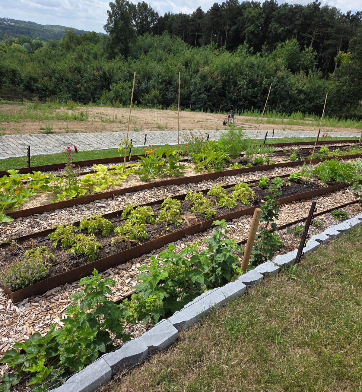 WhatsApp Image 2025-08-13 at 15.42.54 (3)