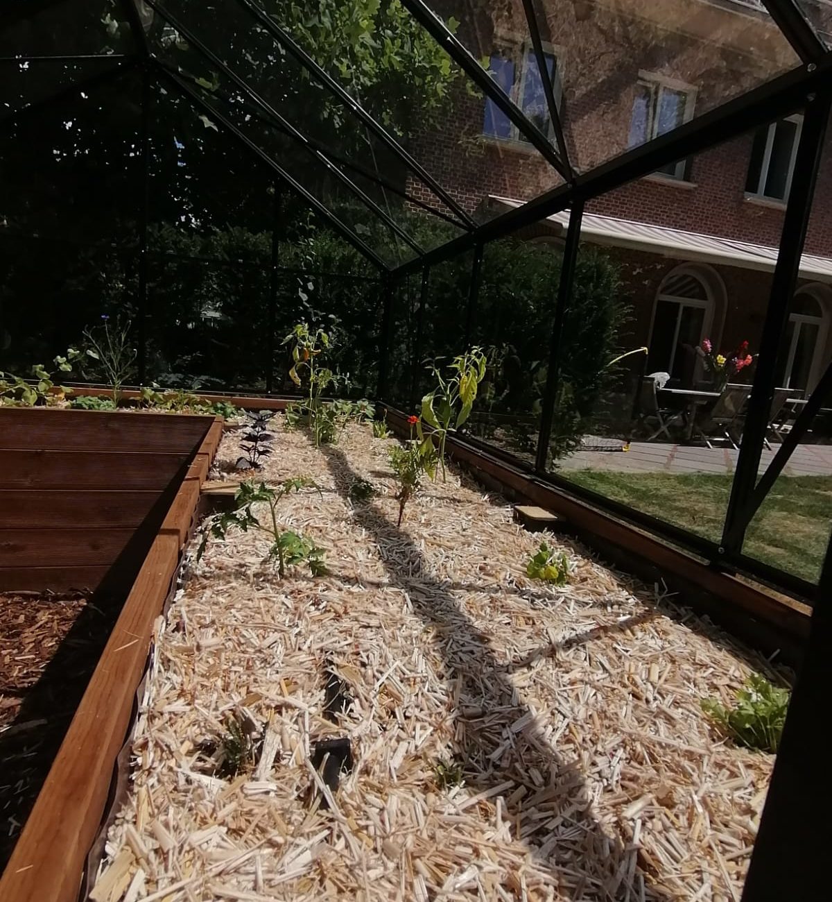 WhatsApp Image 2025-08-13 at 16.34.24