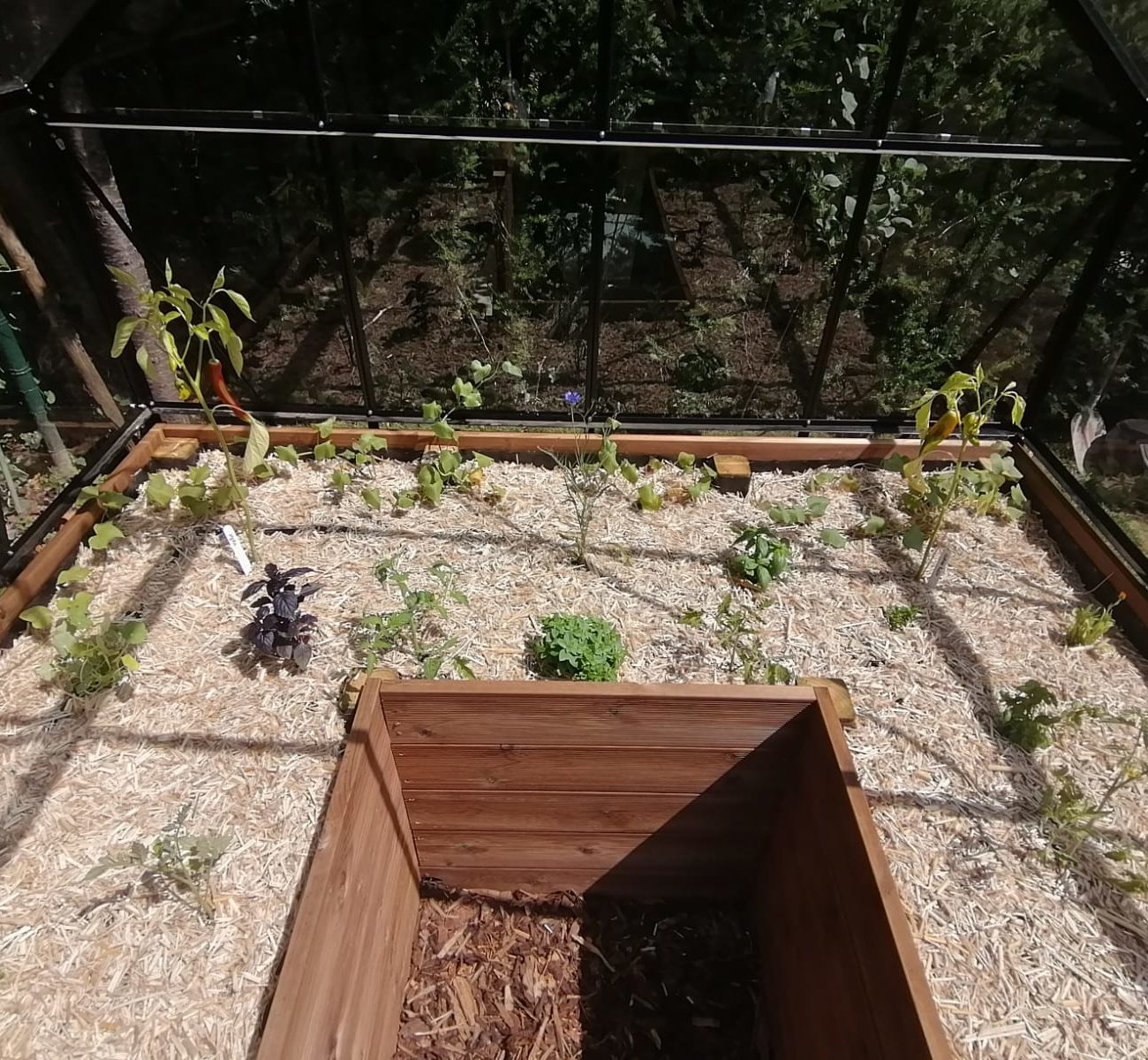 WhatsApp Image 2025-08-13 at 16.34.25 (1)