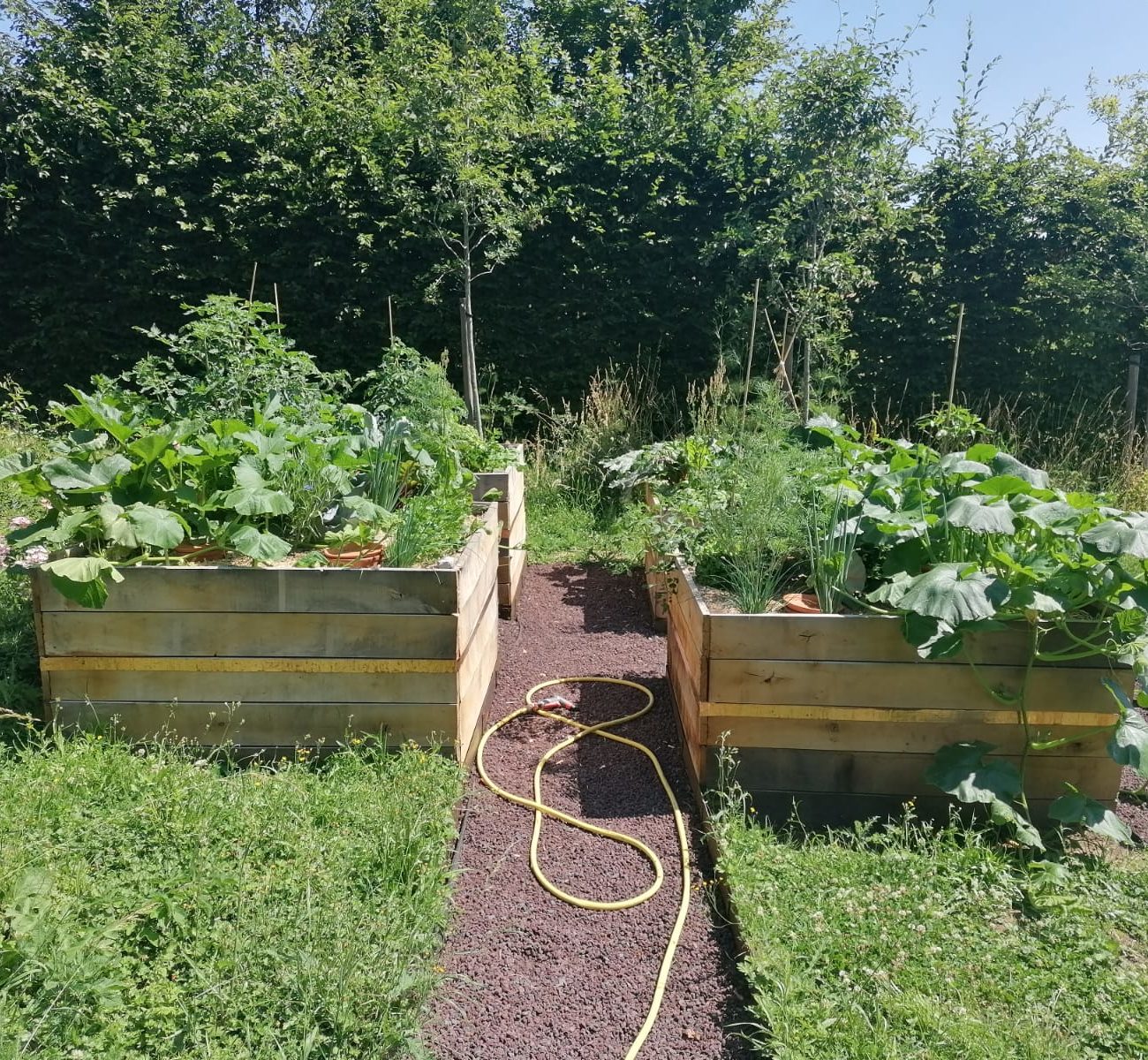 WhatsApp Image 2025-08-13 at 16.42.09