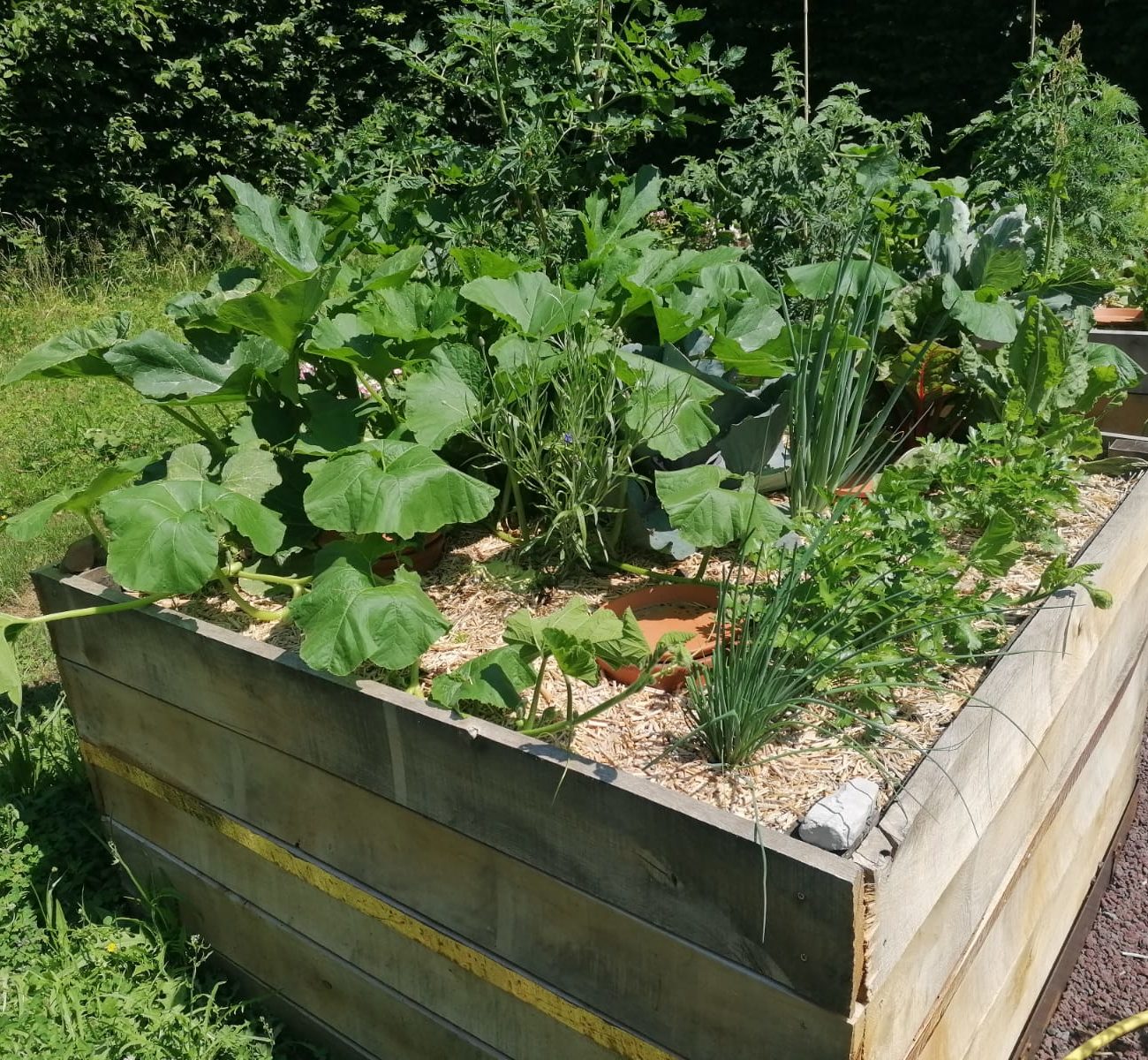 WhatsApp Image 2025-08-13 at 16.42.09 (2)