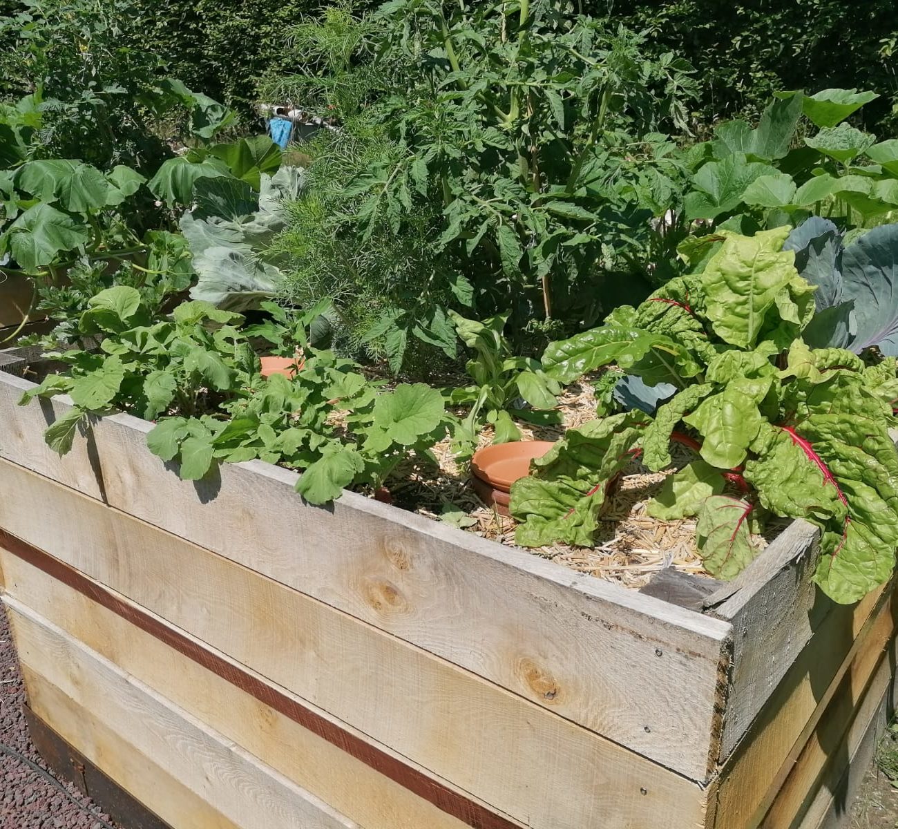 WhatsApp Image 2025-08-13 at 16.42.10