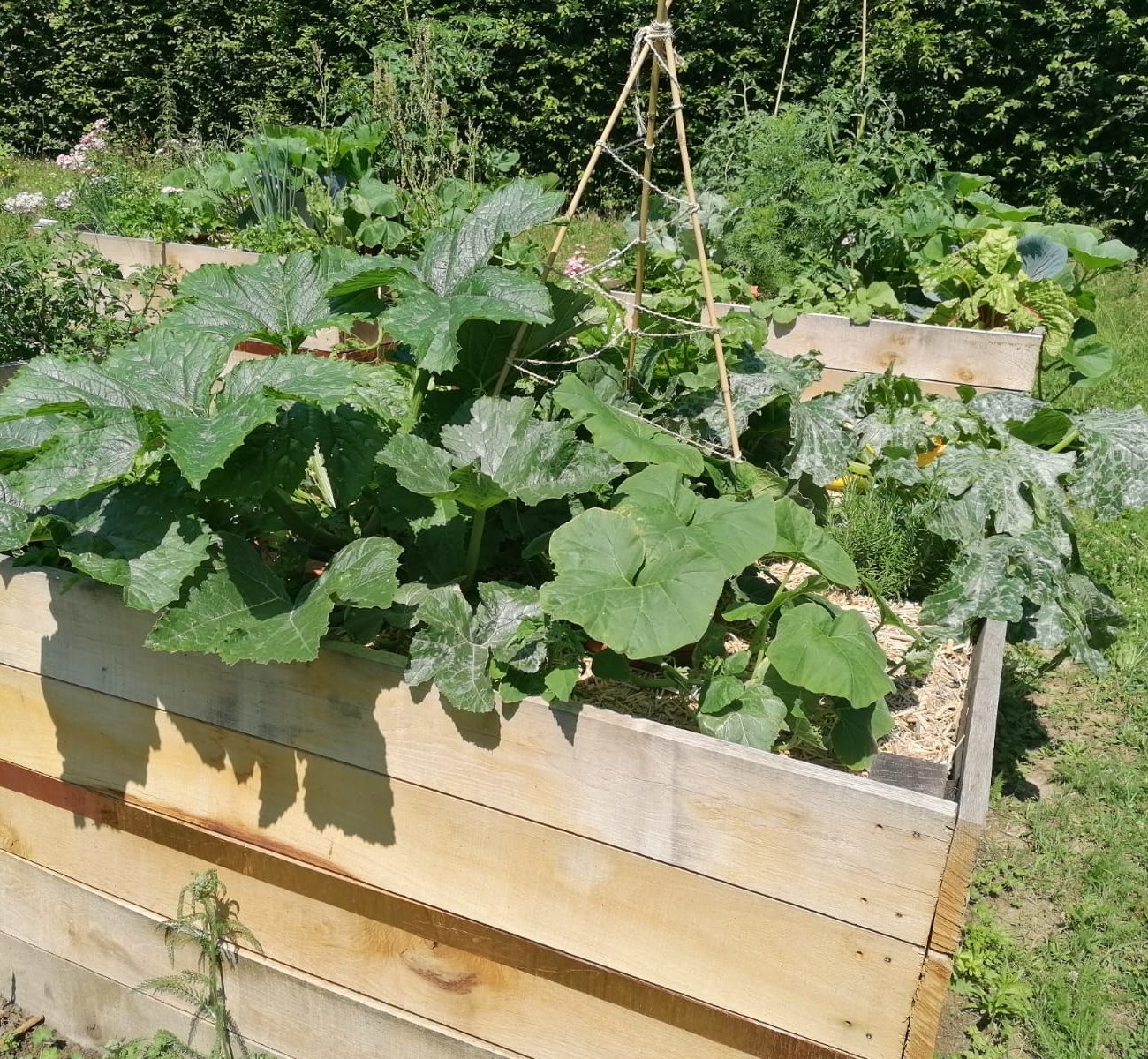 WhatsApp Image 2025-08-13 at 16.42.10 (2)