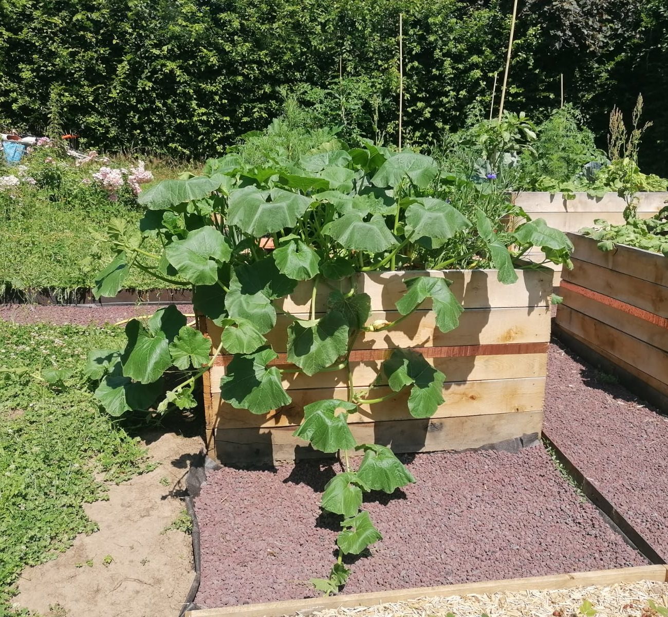 WhatsApp Image 2025-08-13 at 16.42.10 (3)