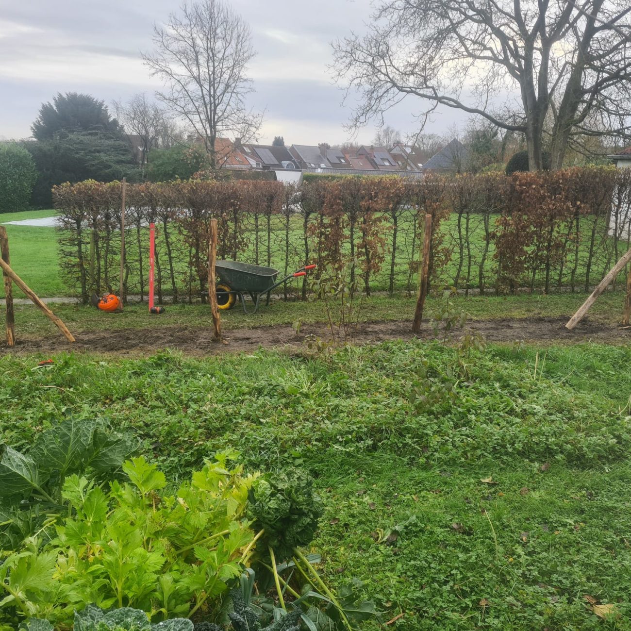 WhatsApp Image 2025-08-13 at 16.46.13