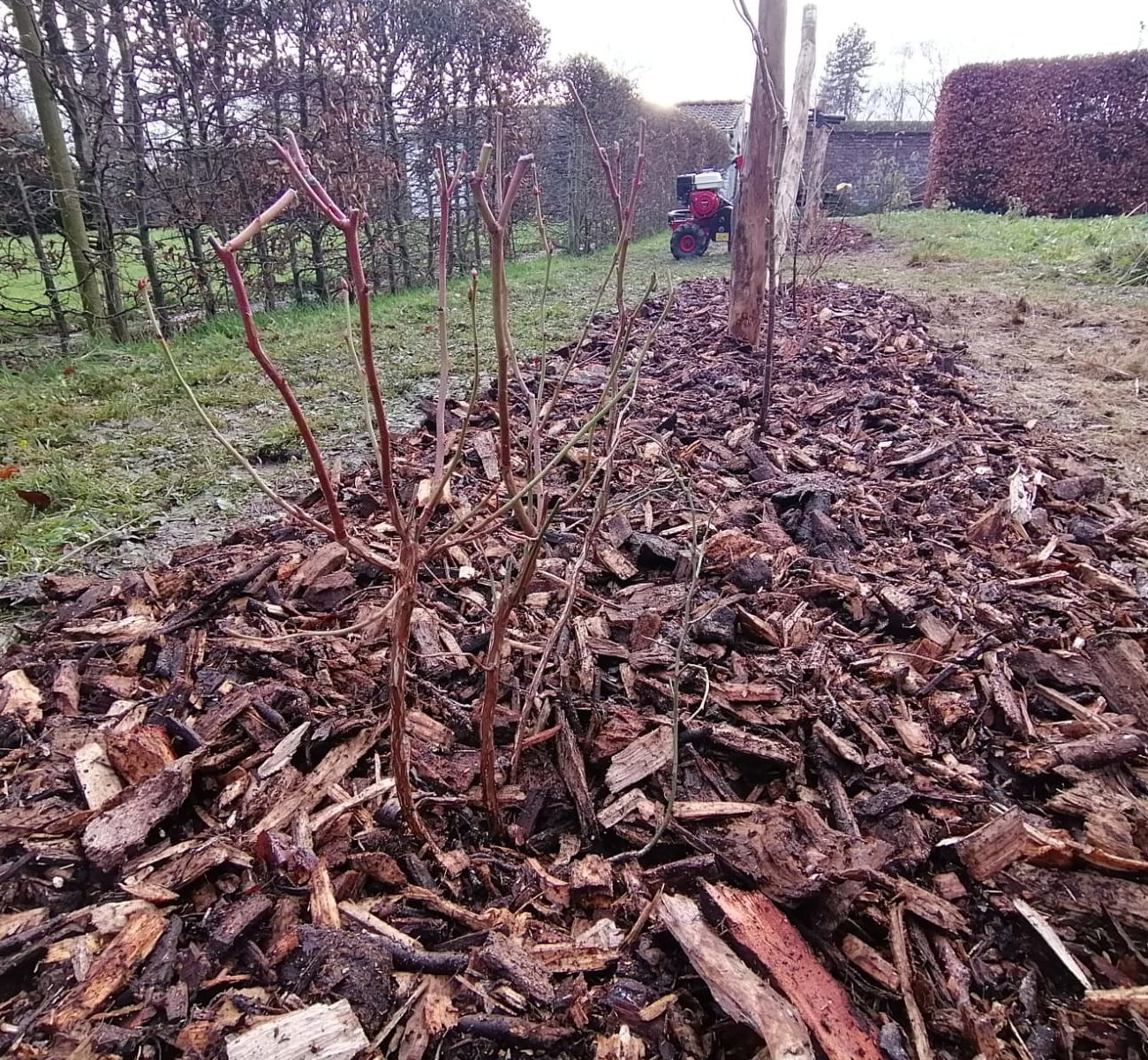 WhatsApp Image 2025-08-13 at 16.46.14