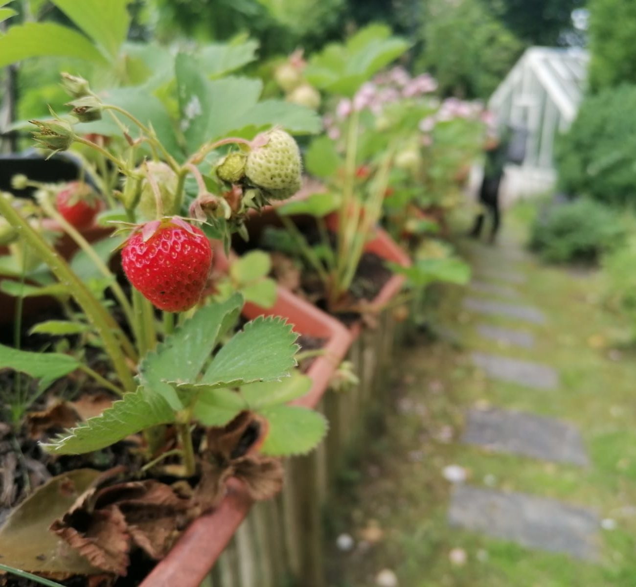 WhatsApp Image 2025-08-13 at 16.56.13