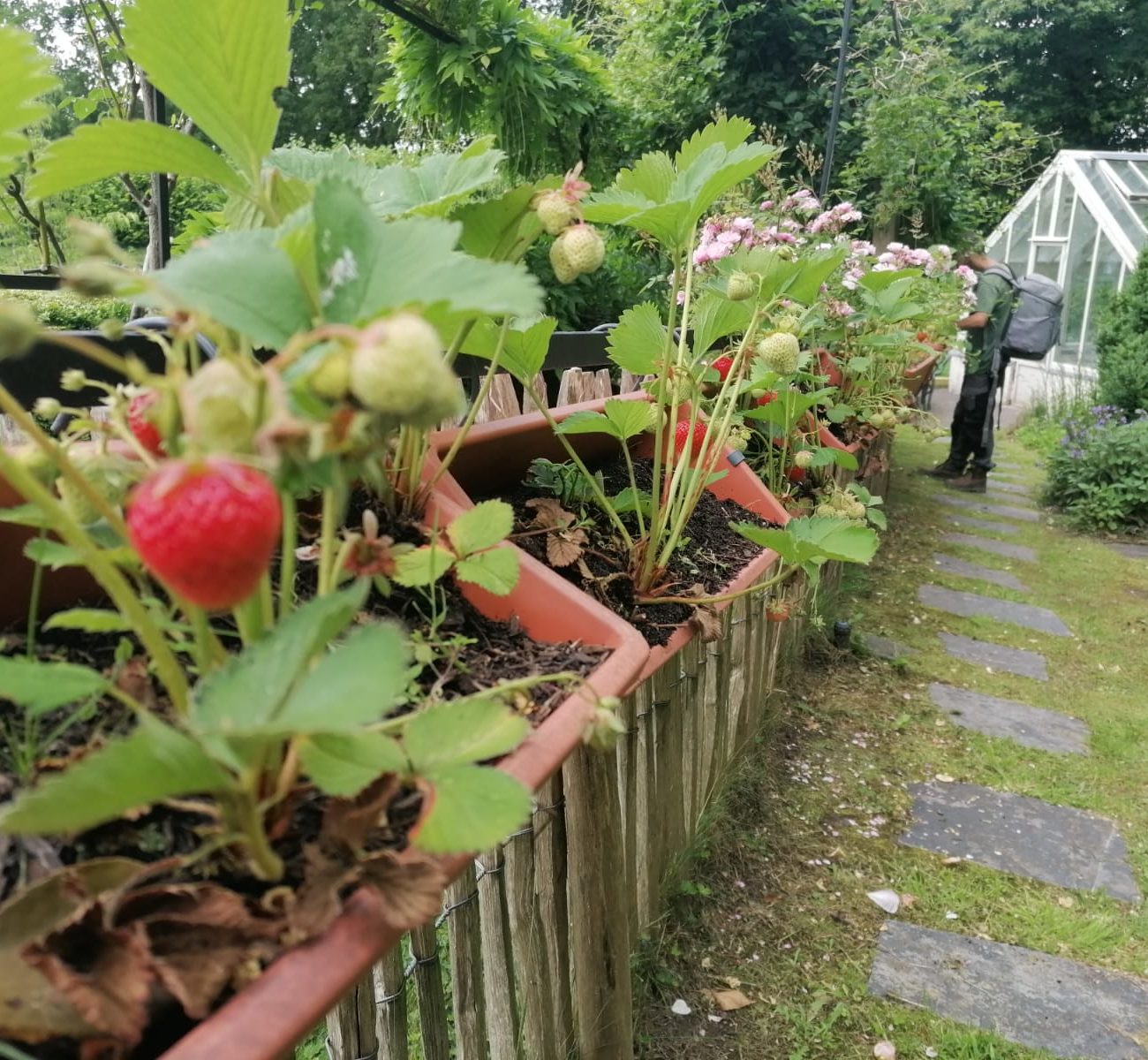 WhatsApp Image 2025-08-13 at 16.56.14