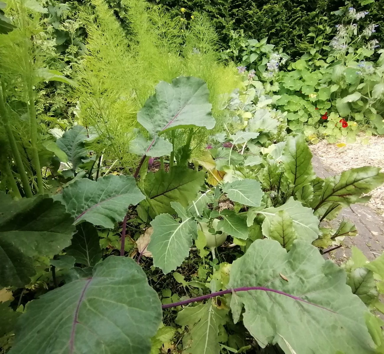 WhatsApp Image 2025-08-13 at 16.56.15 (1)