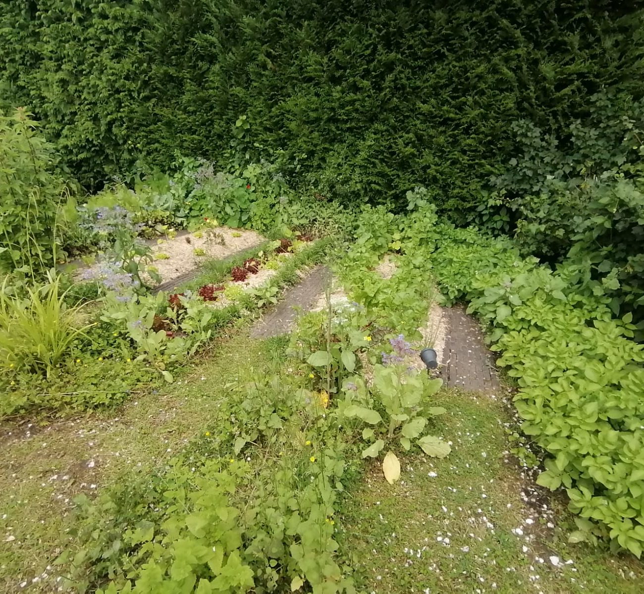 WhatsApp Image 2025-08-13 at 16.56.15