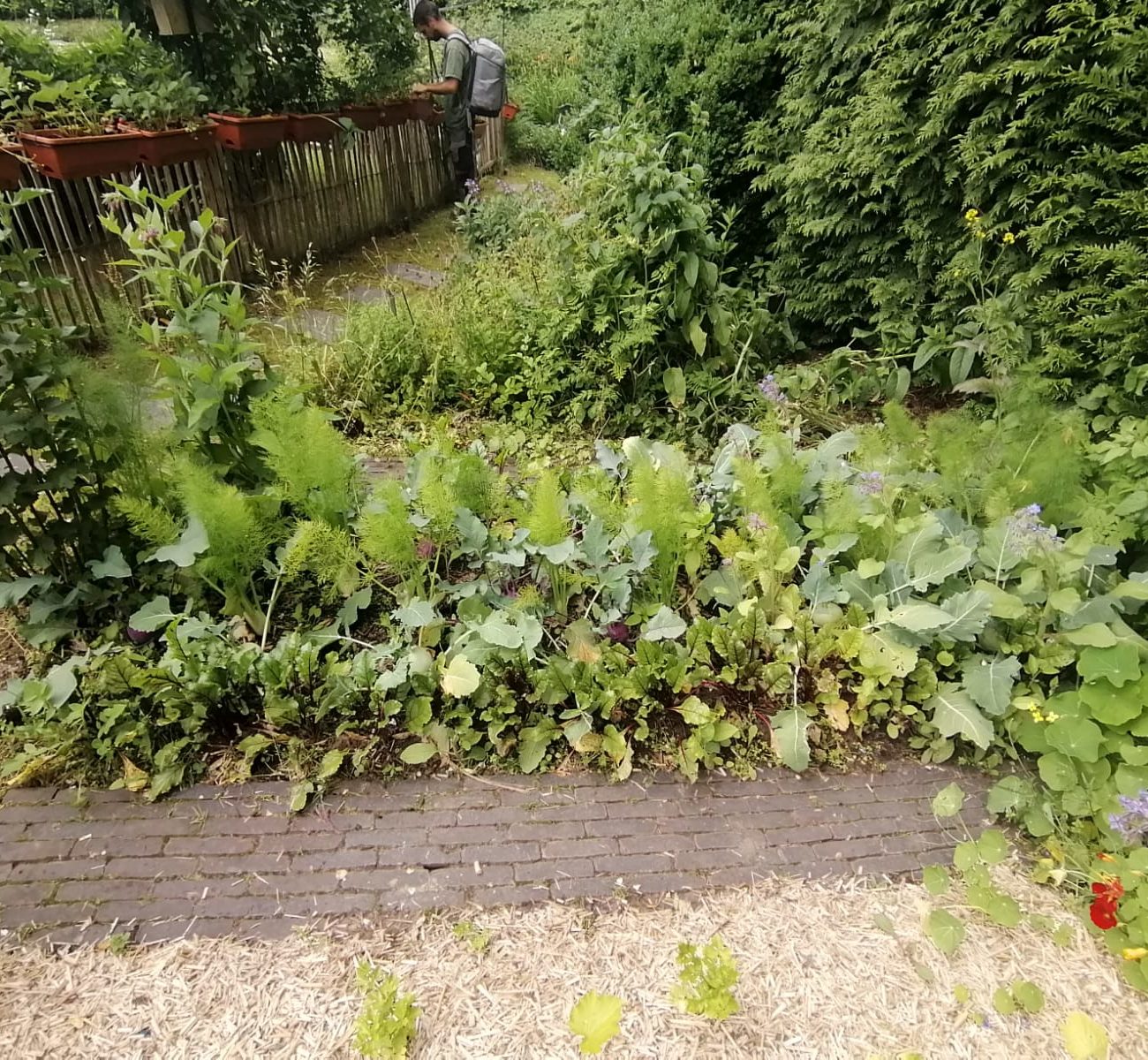 WhatsApp Image 2025-08-13 at 16.56.15 (2)