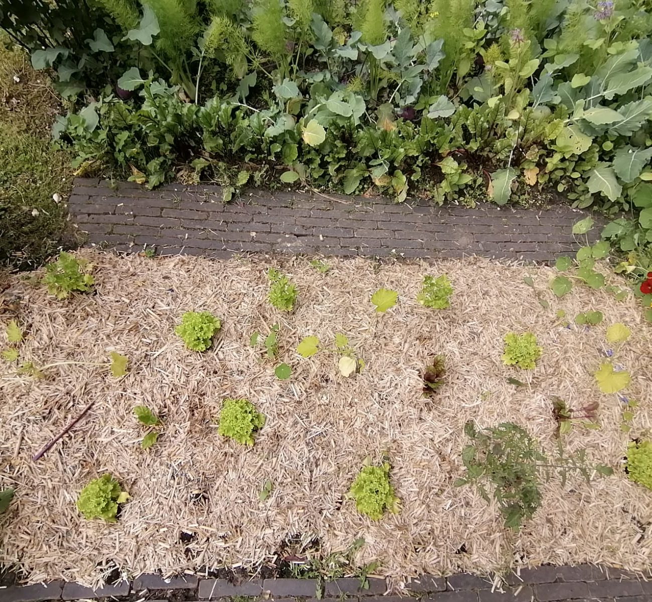 WhatsApp Image 2025-08-13 at 16.56.15 (4)