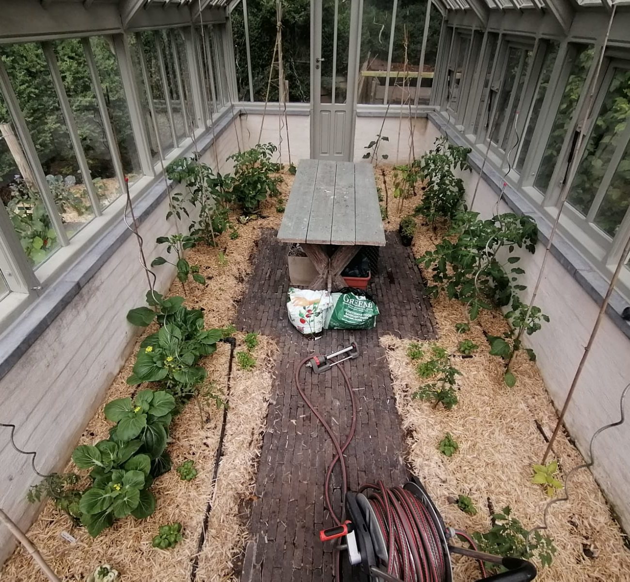 WhatsApp Image 2025-08-13 at 16.56.16 (1)